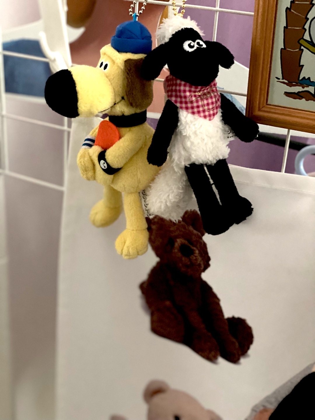 숀더 쉽 🐑🐕