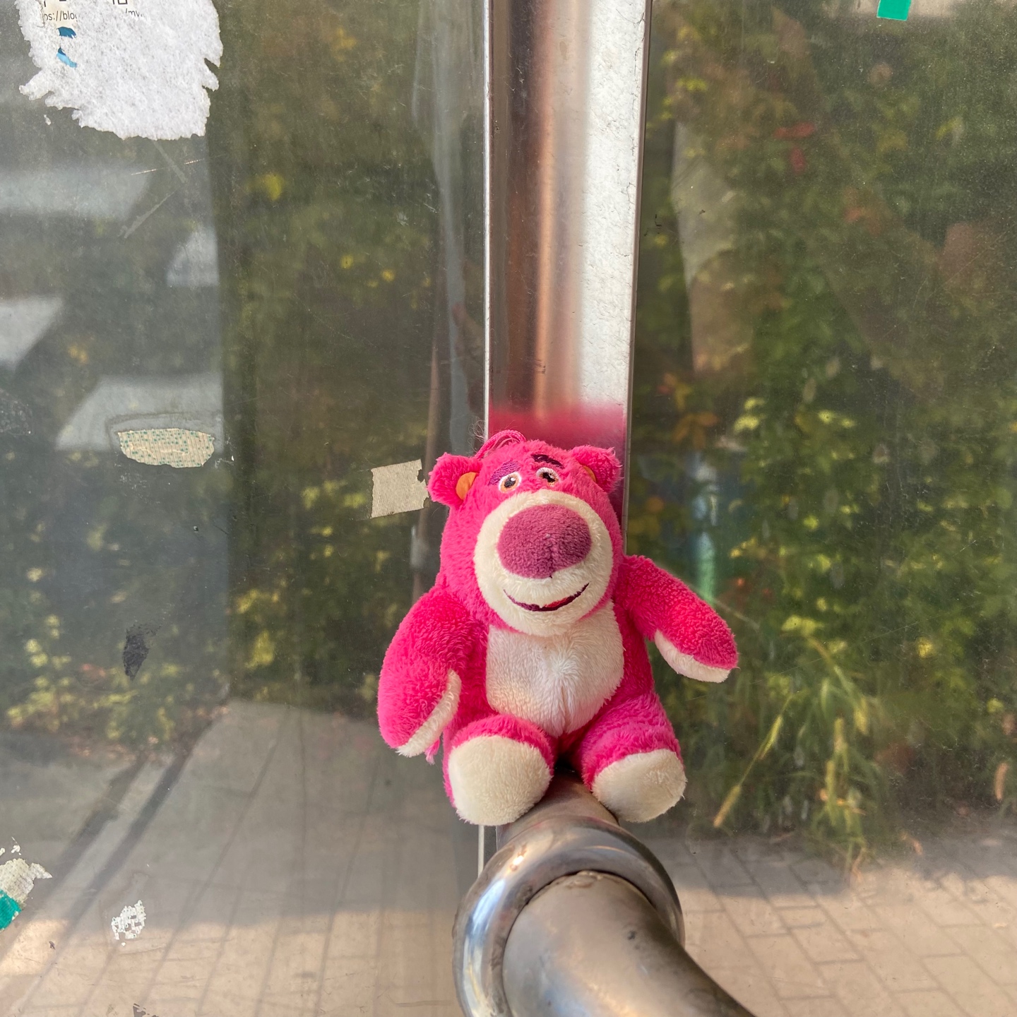 랏소베어🍓