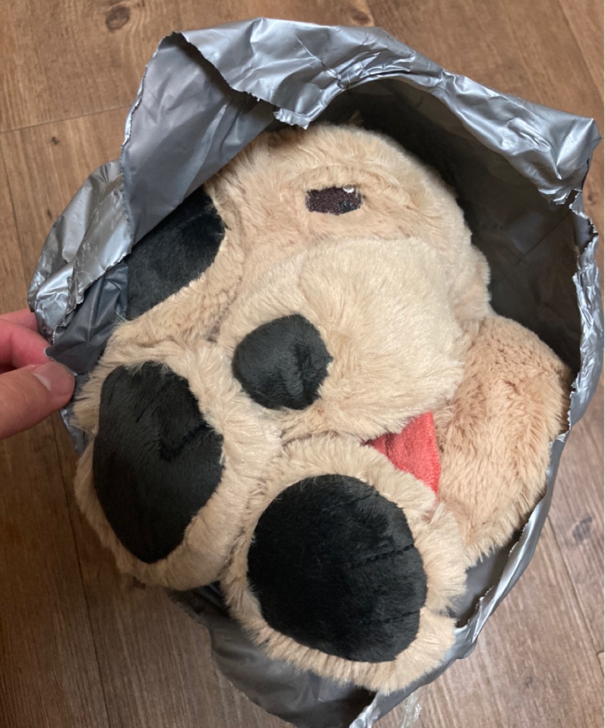 🐶
