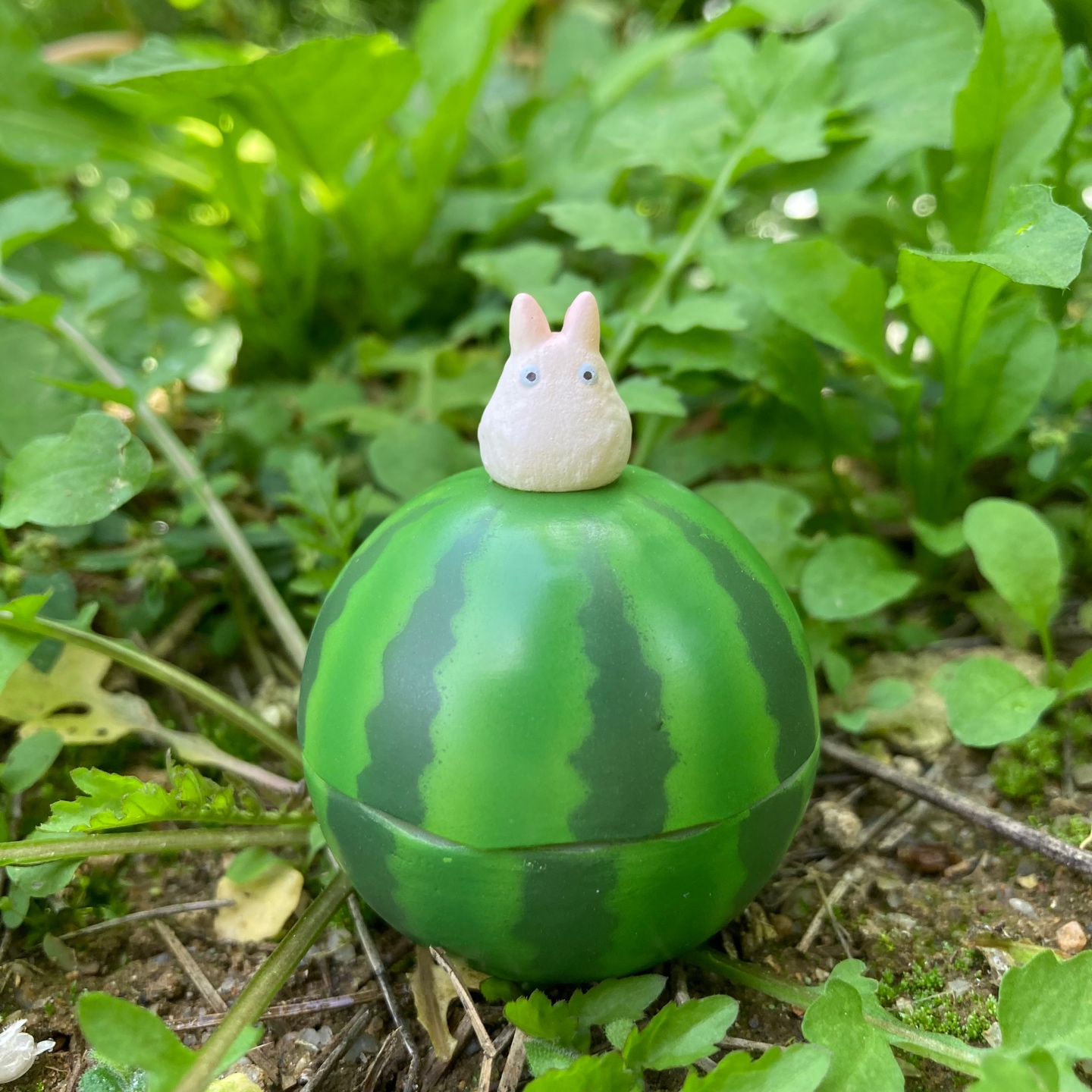 밭에 수박이 있어요!!🍉