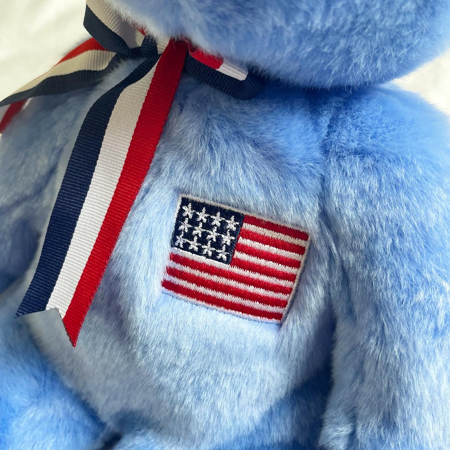 🔖 TY America Buddy