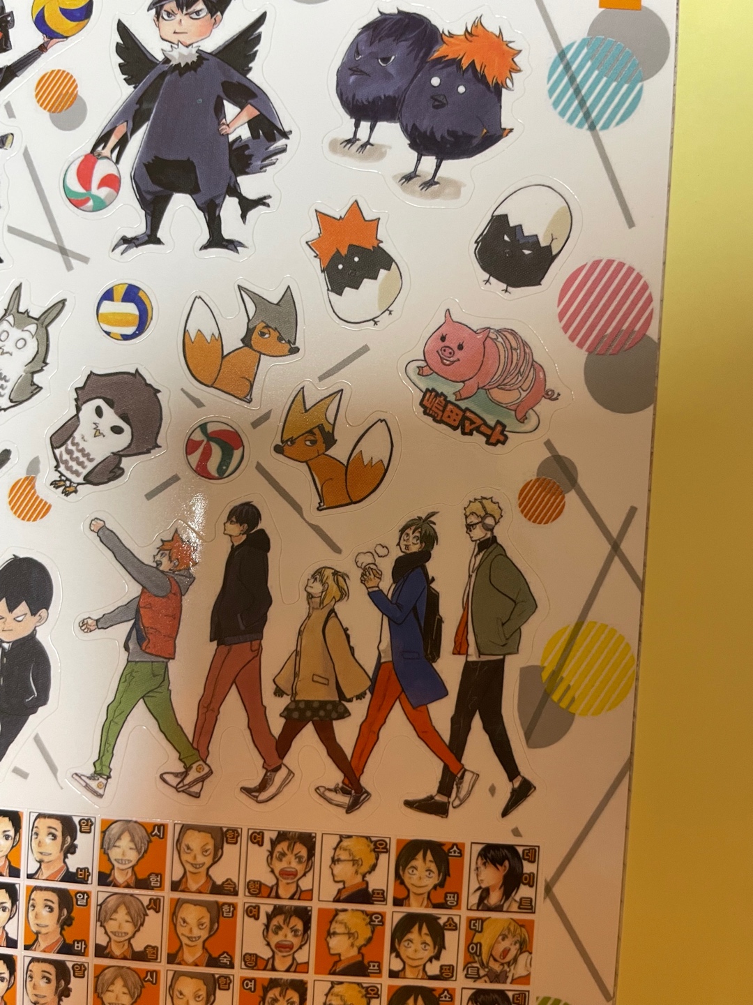 이뻐이뻐🤍💙🧡