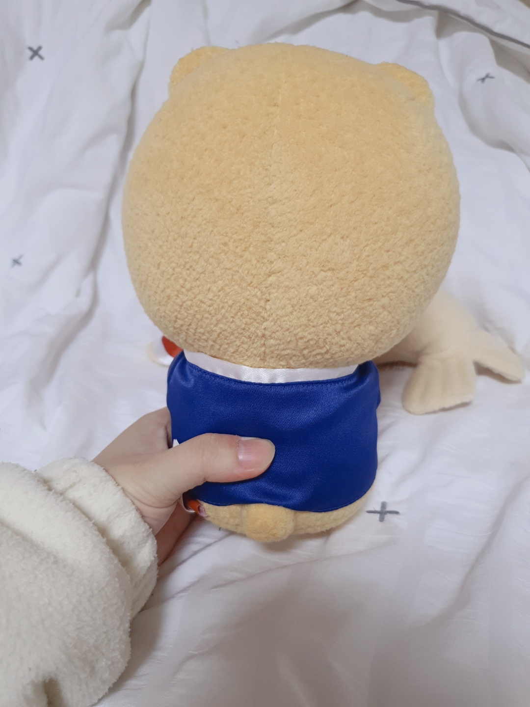 라이언