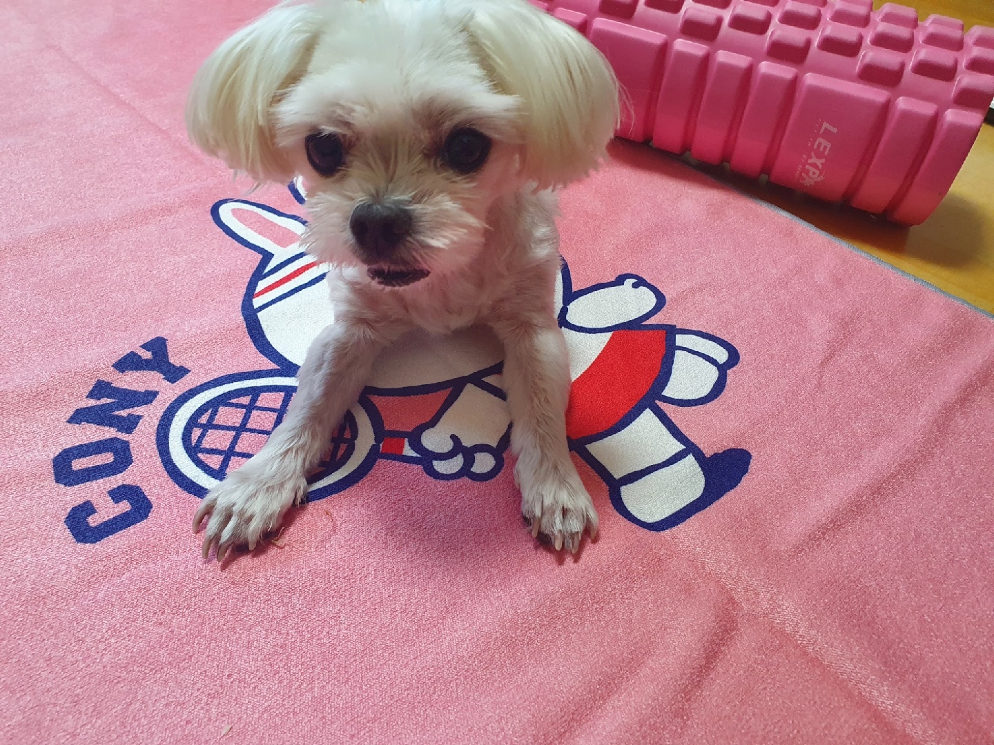 코니 요가타월 매트!