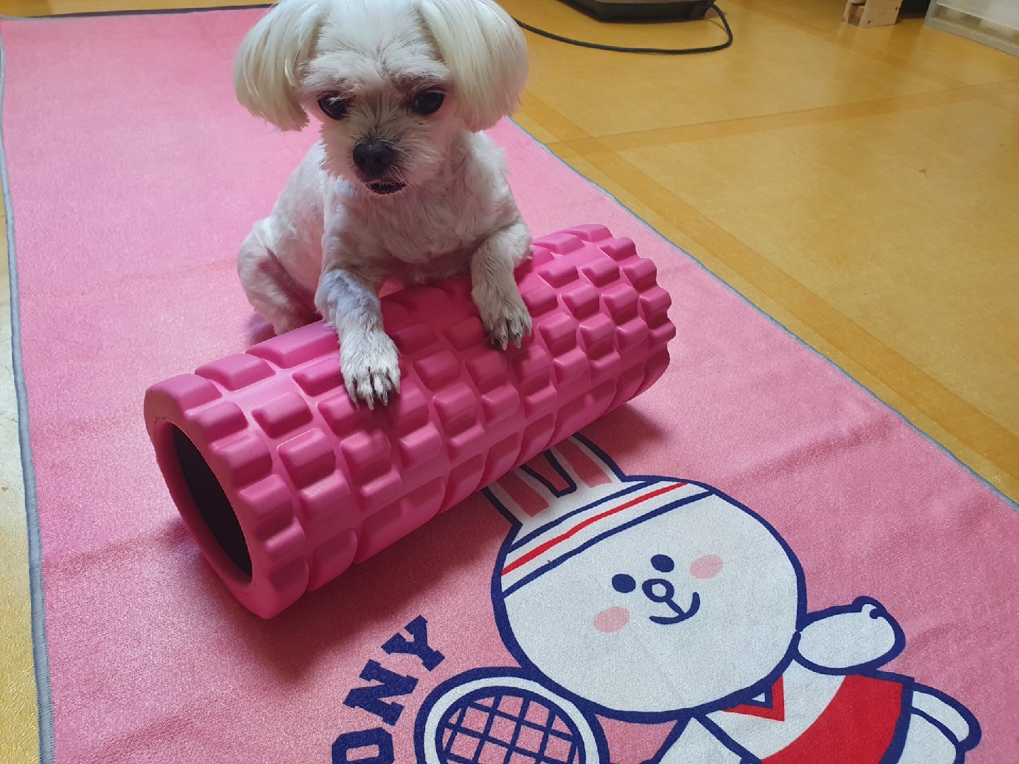 코니 요가타월 매트!