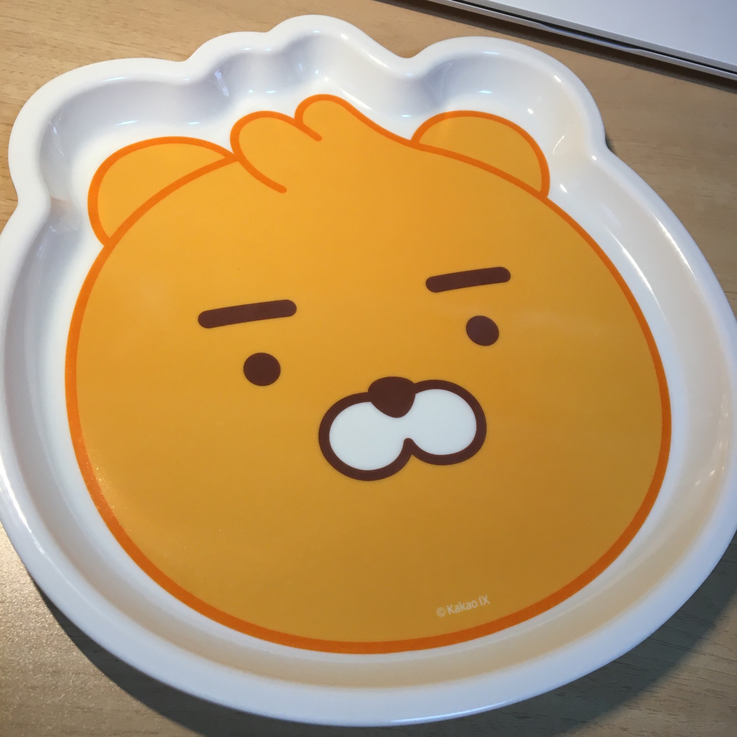 🦁라이언 쟁반🦁