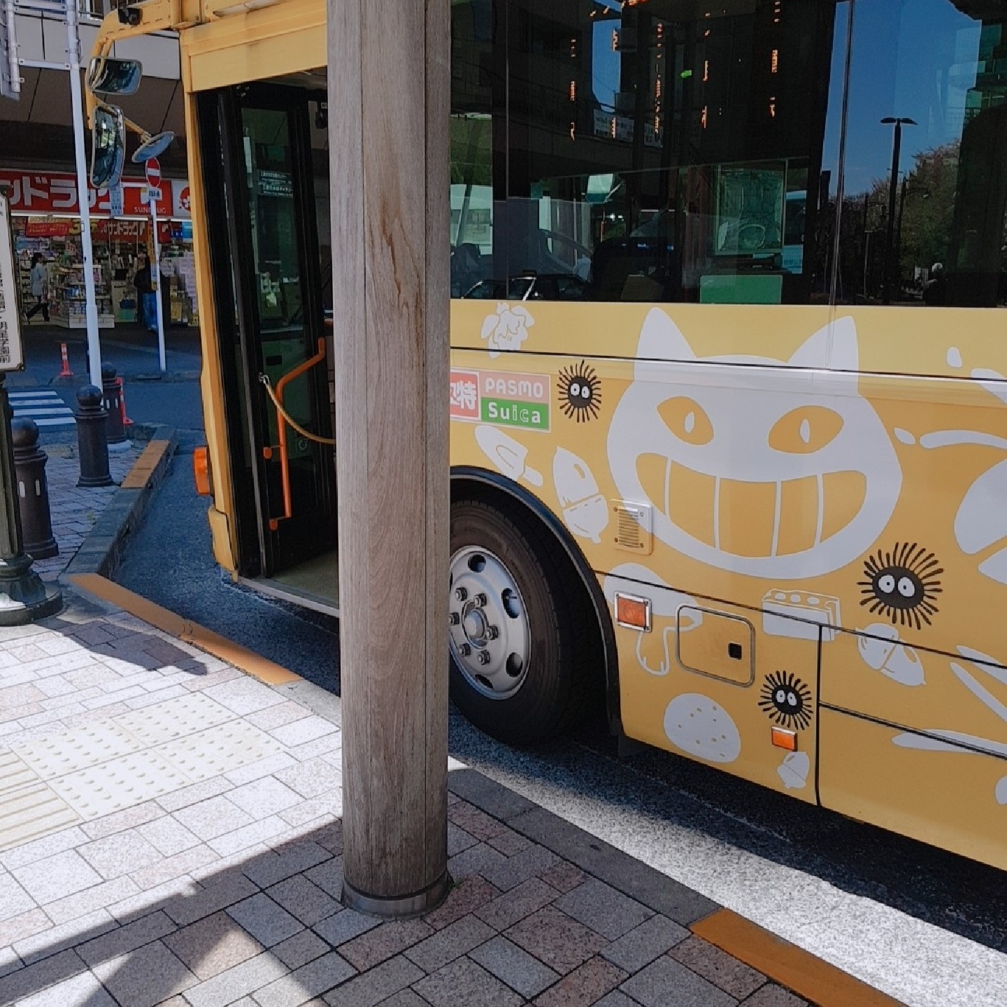 🌳고양이버스를타고 지브리 숲으로🌲