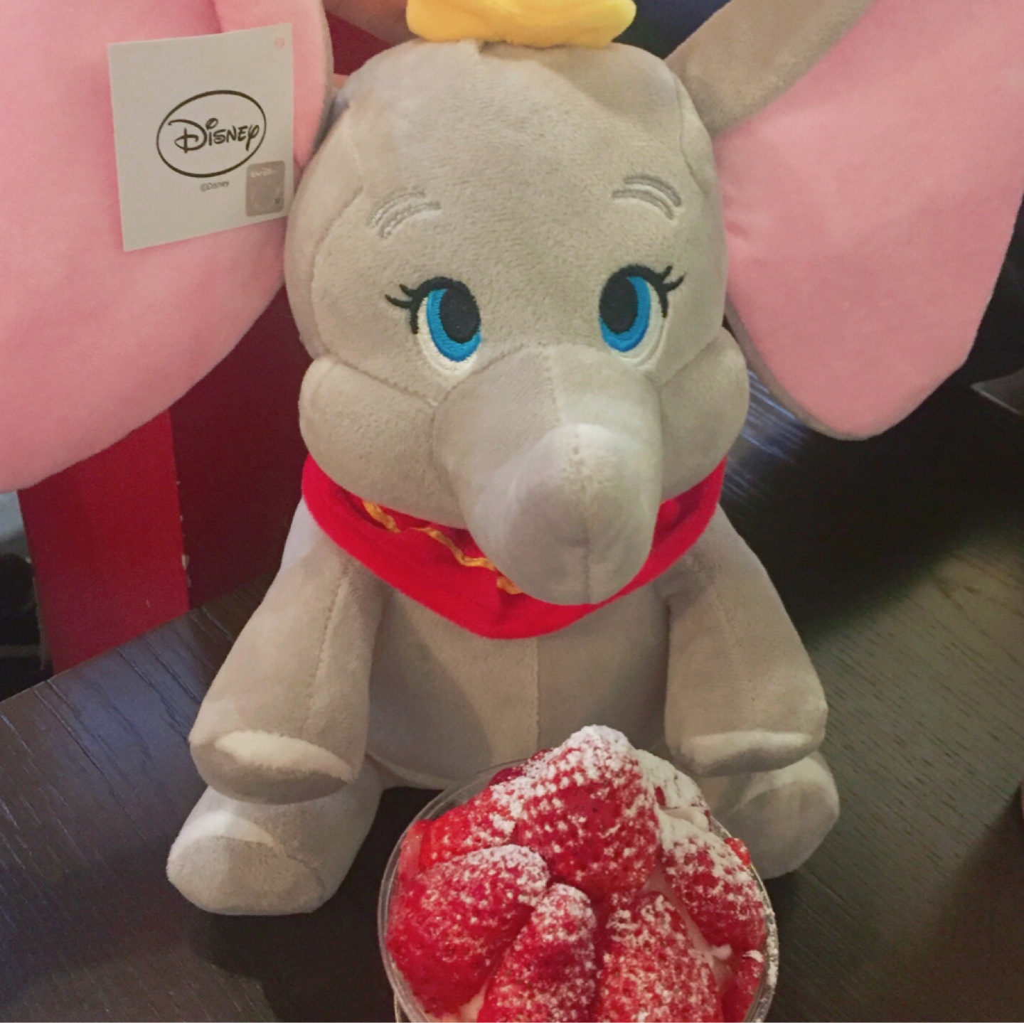 덤보🐘