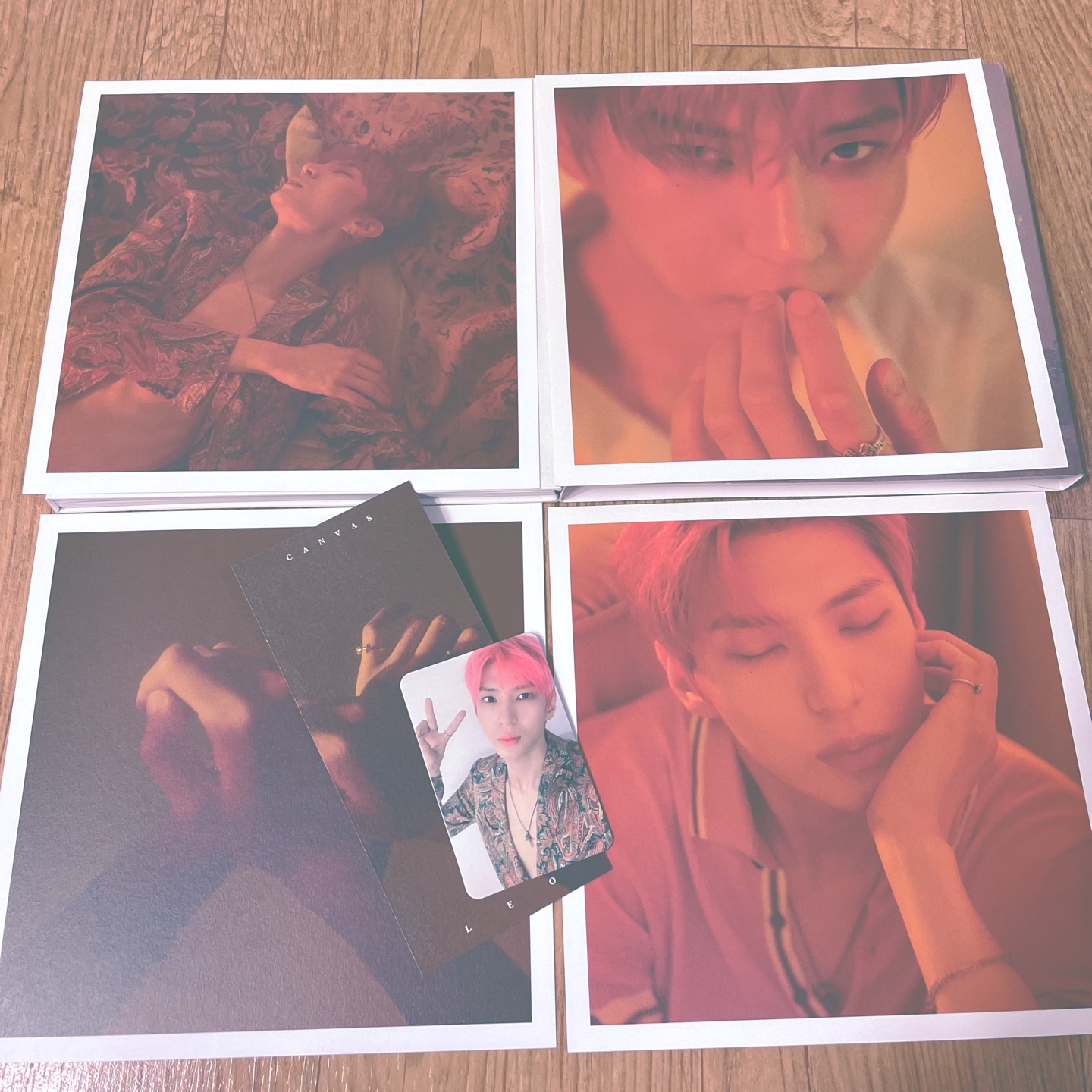 Leo canvas앨범