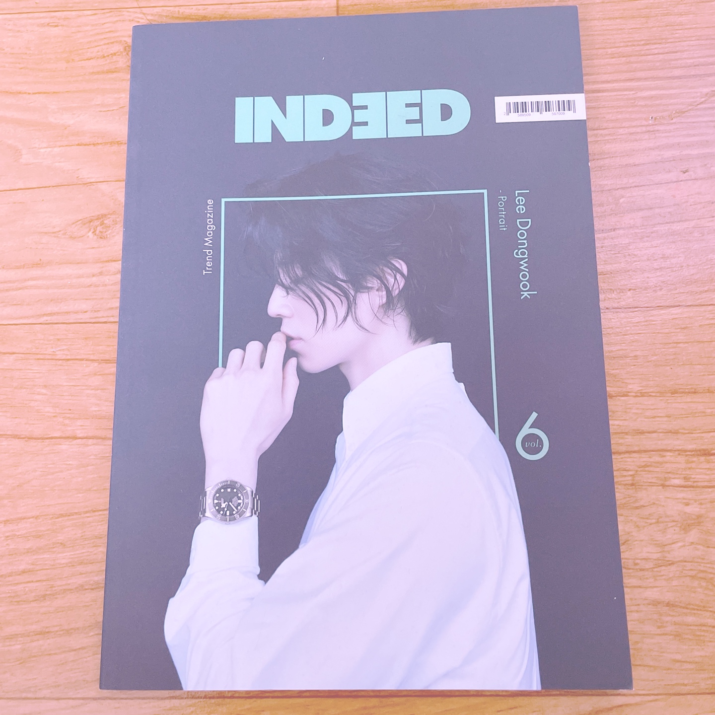 Indeed 6호