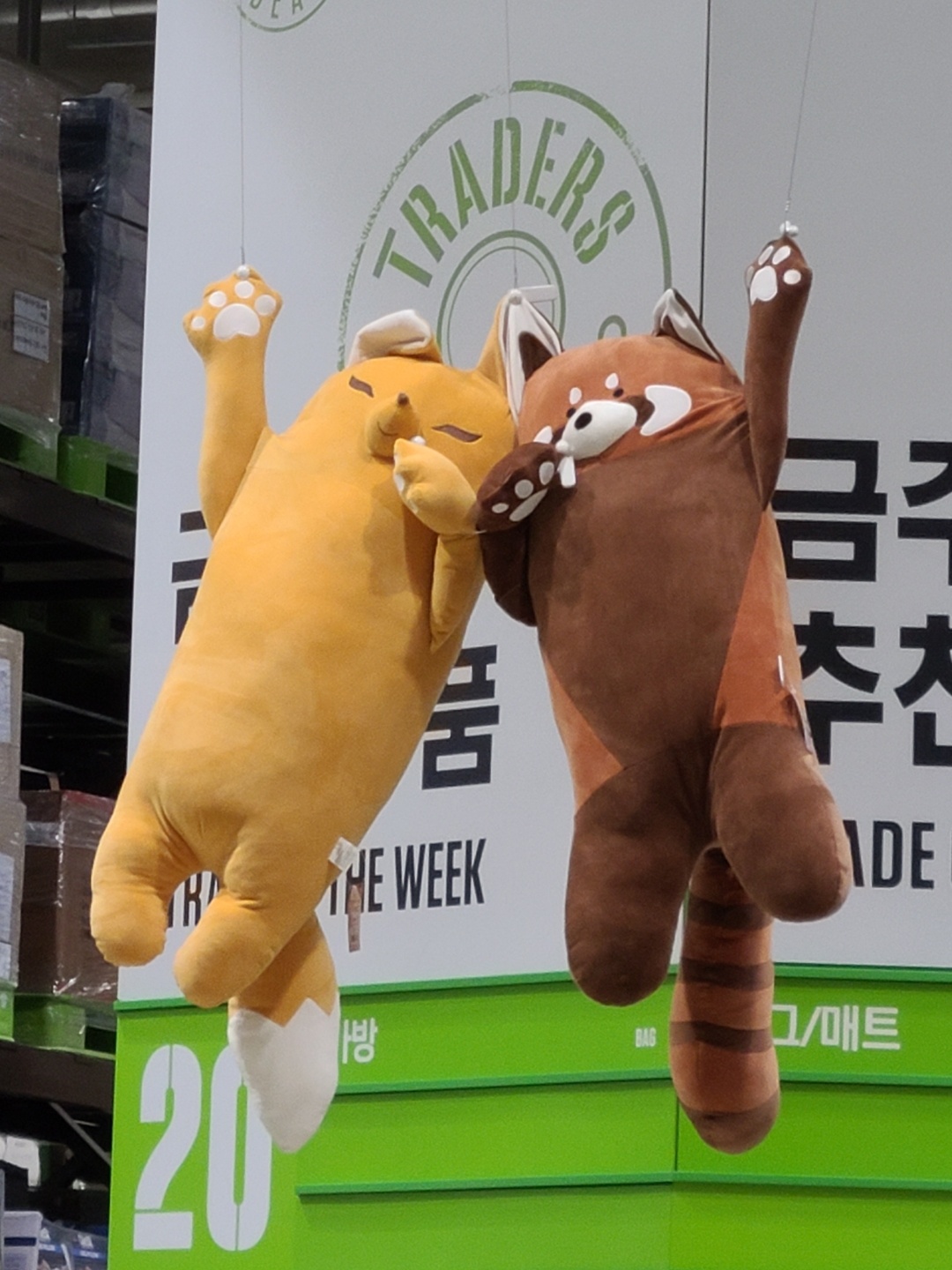 너구리 몰고가세요~