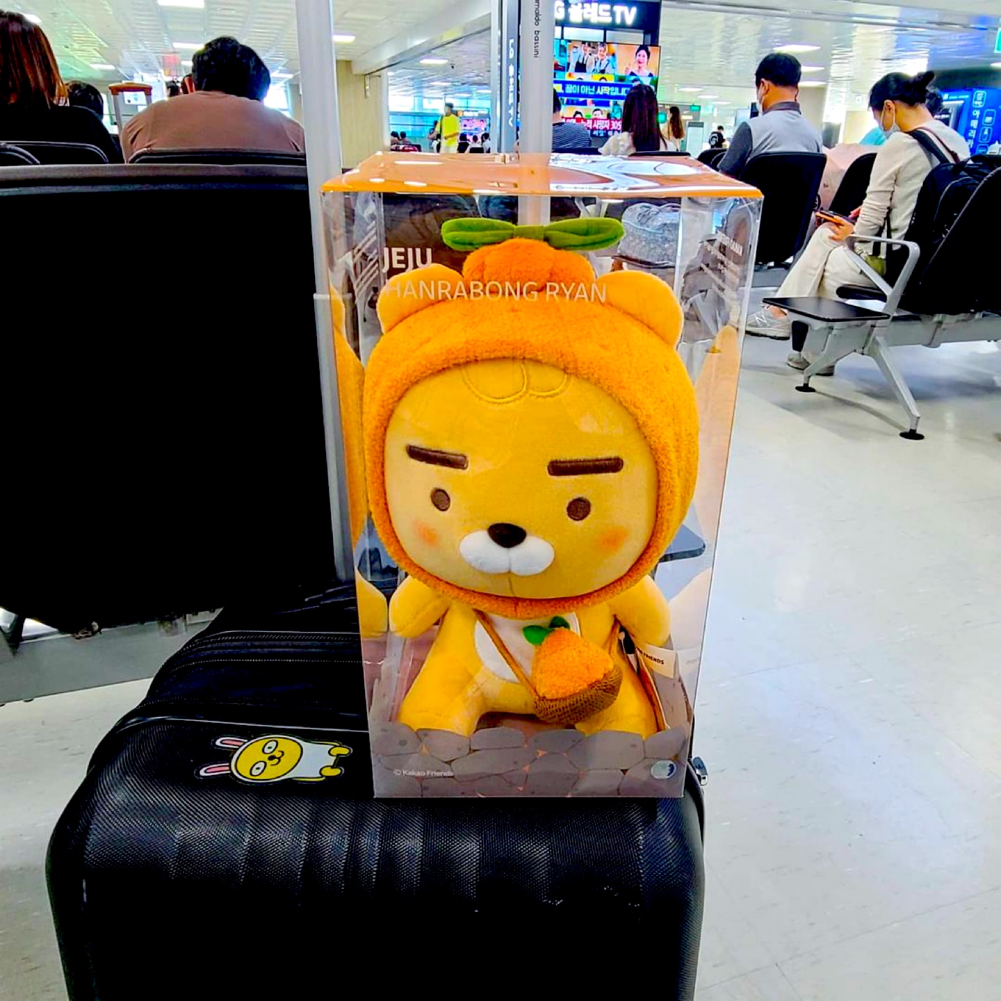 💛라이언💛