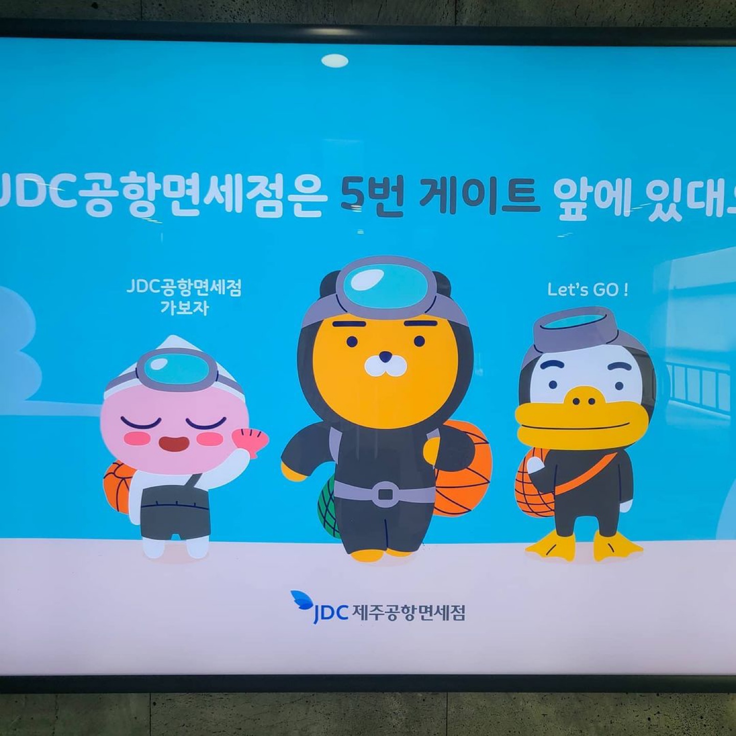 💛라이언💛