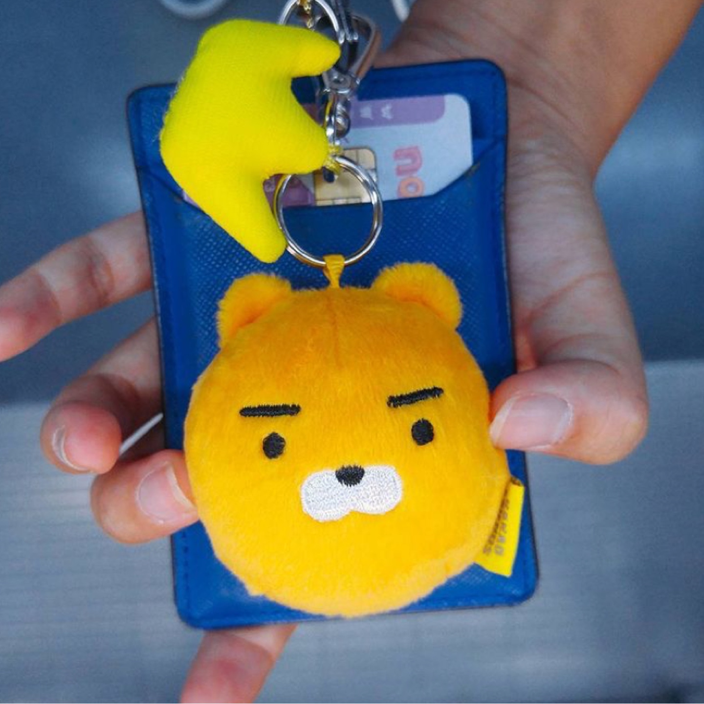 💛라이언💛