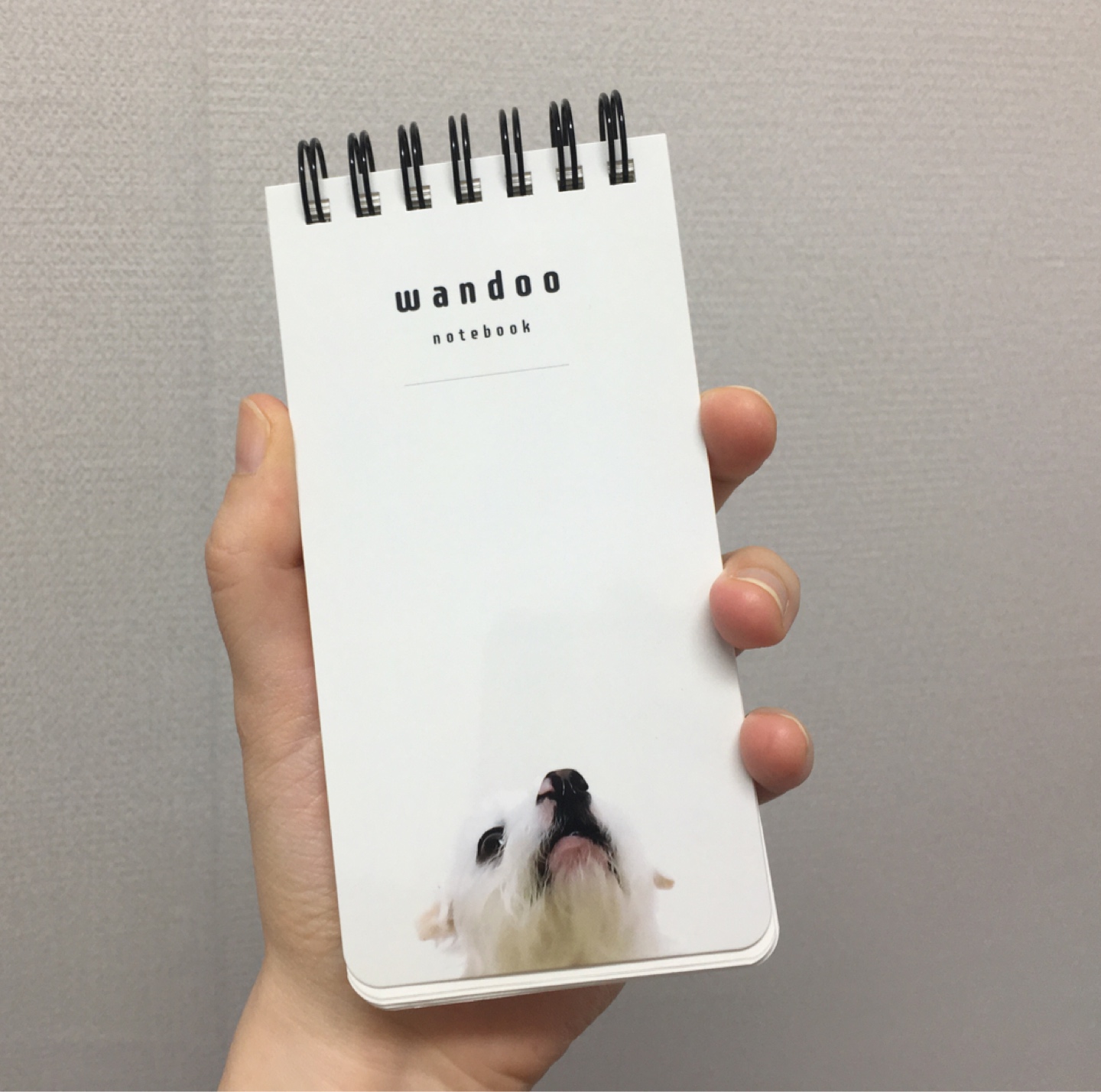 댕댕이 무지 노트
