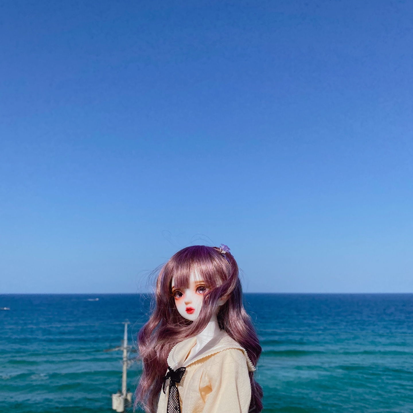 #리틀 사루비아