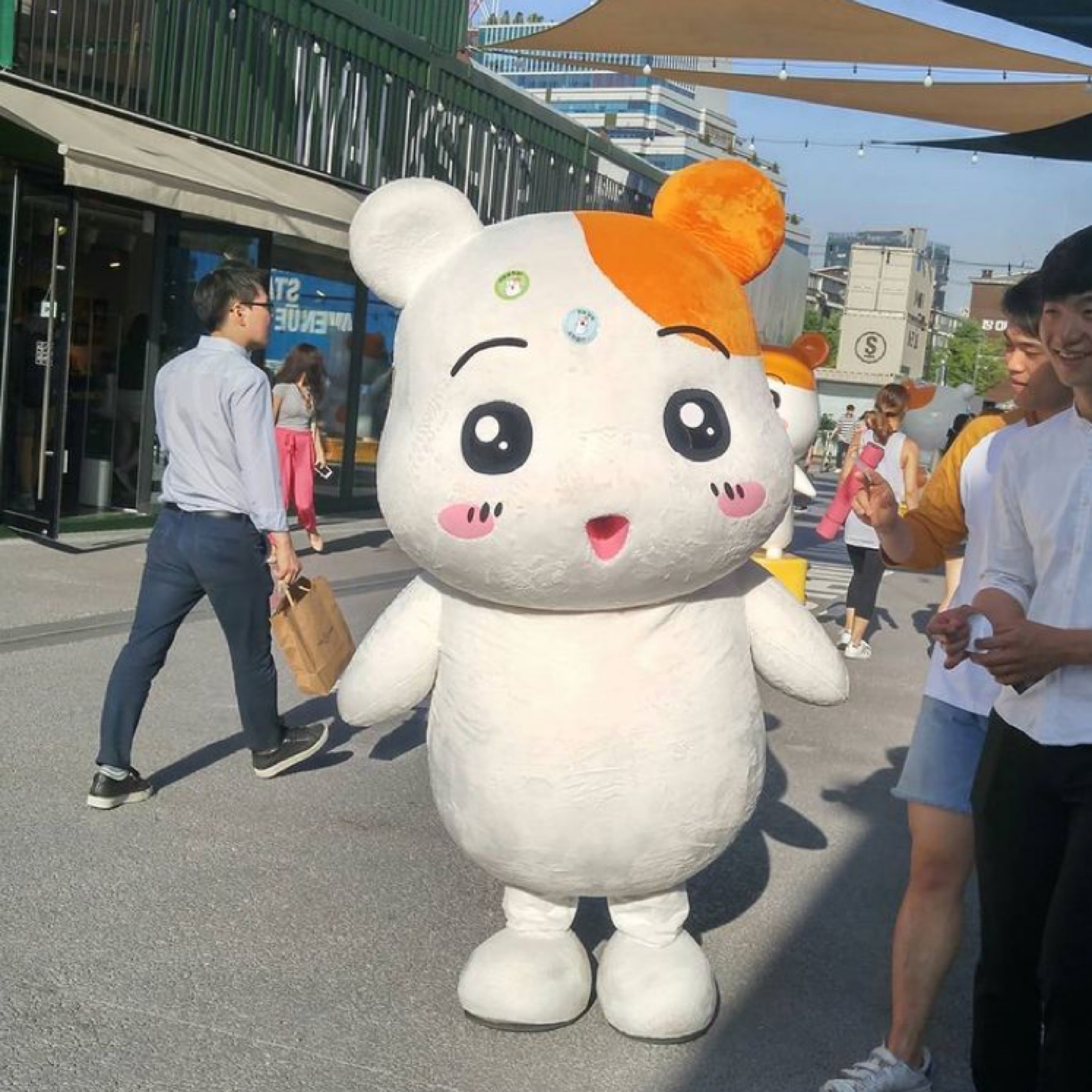 에비츄