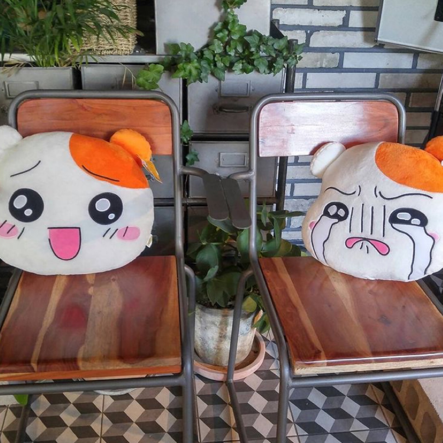 에비츄