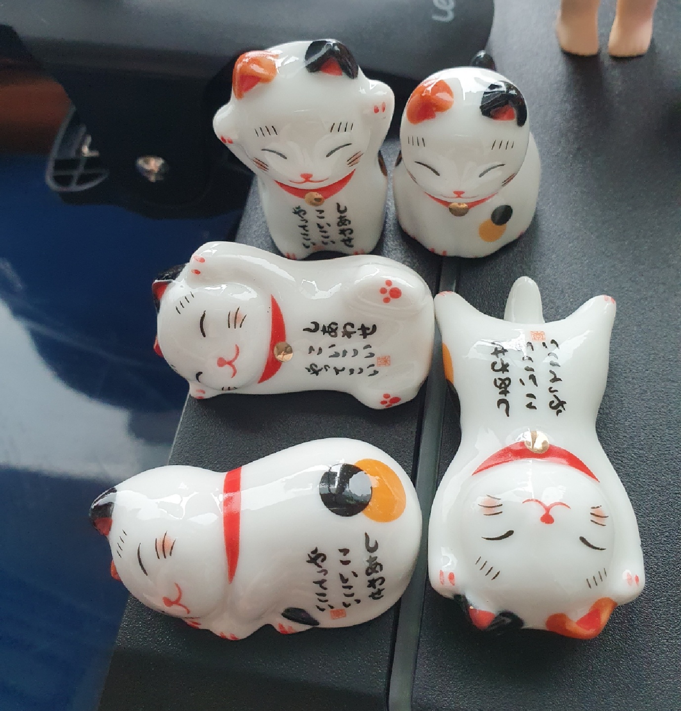 복고양이