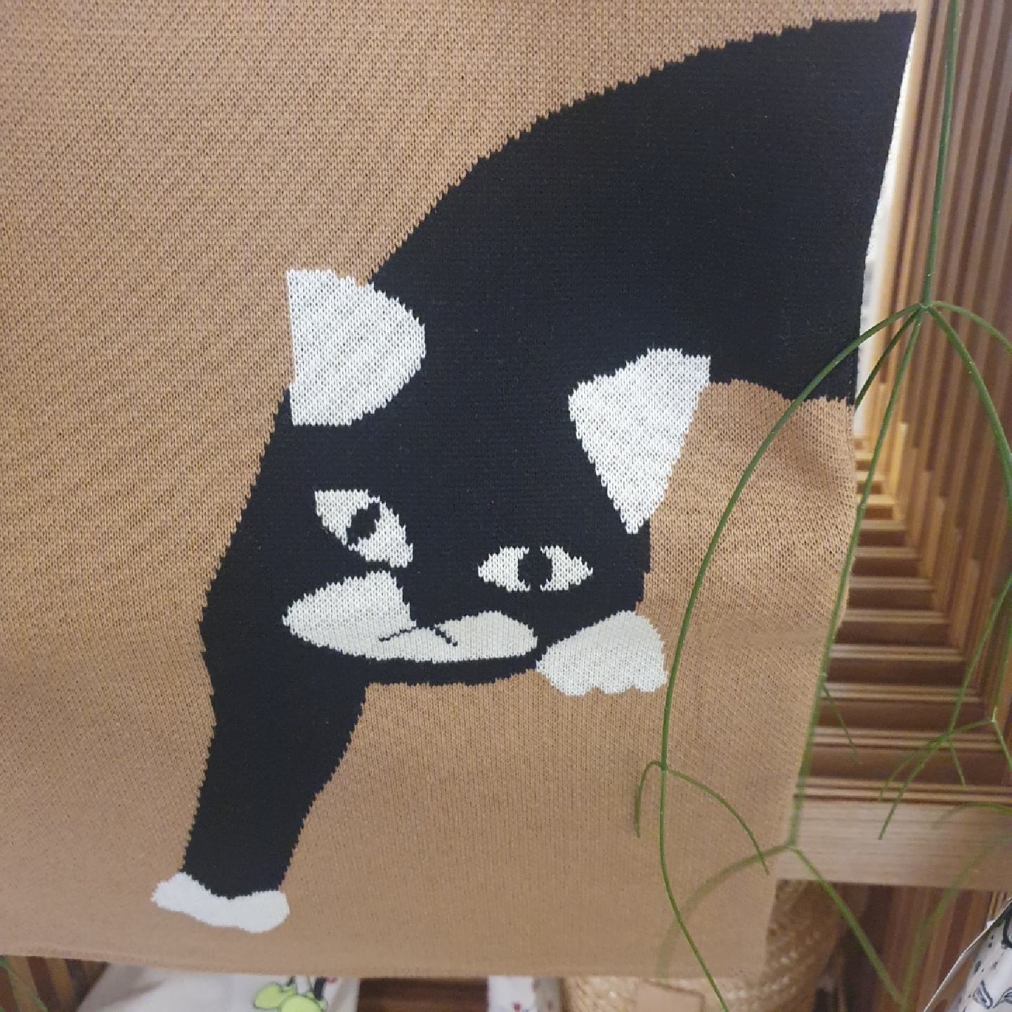 카페에서 본 니트로 된 가방