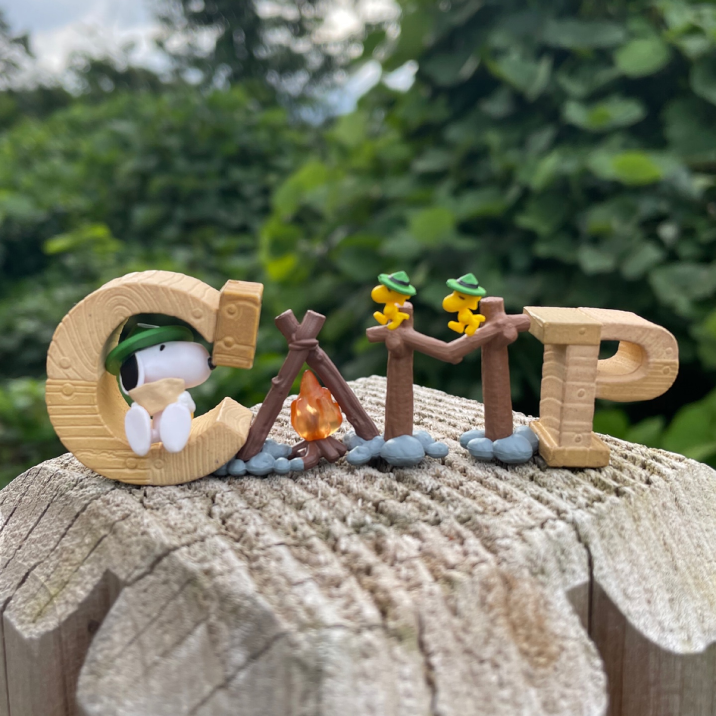 CAMP
이번시리즈도