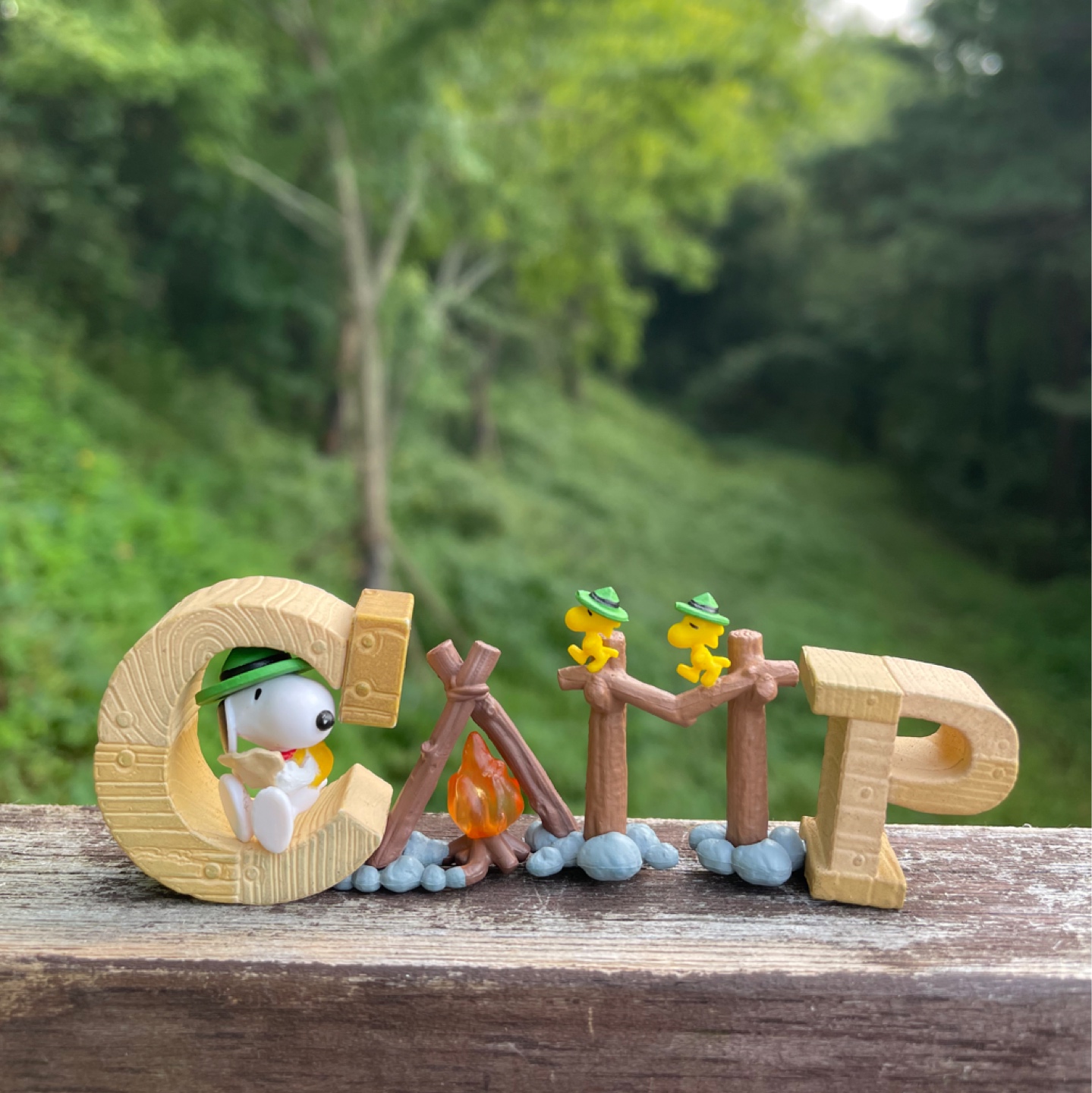 CAMP
이번시리즈도