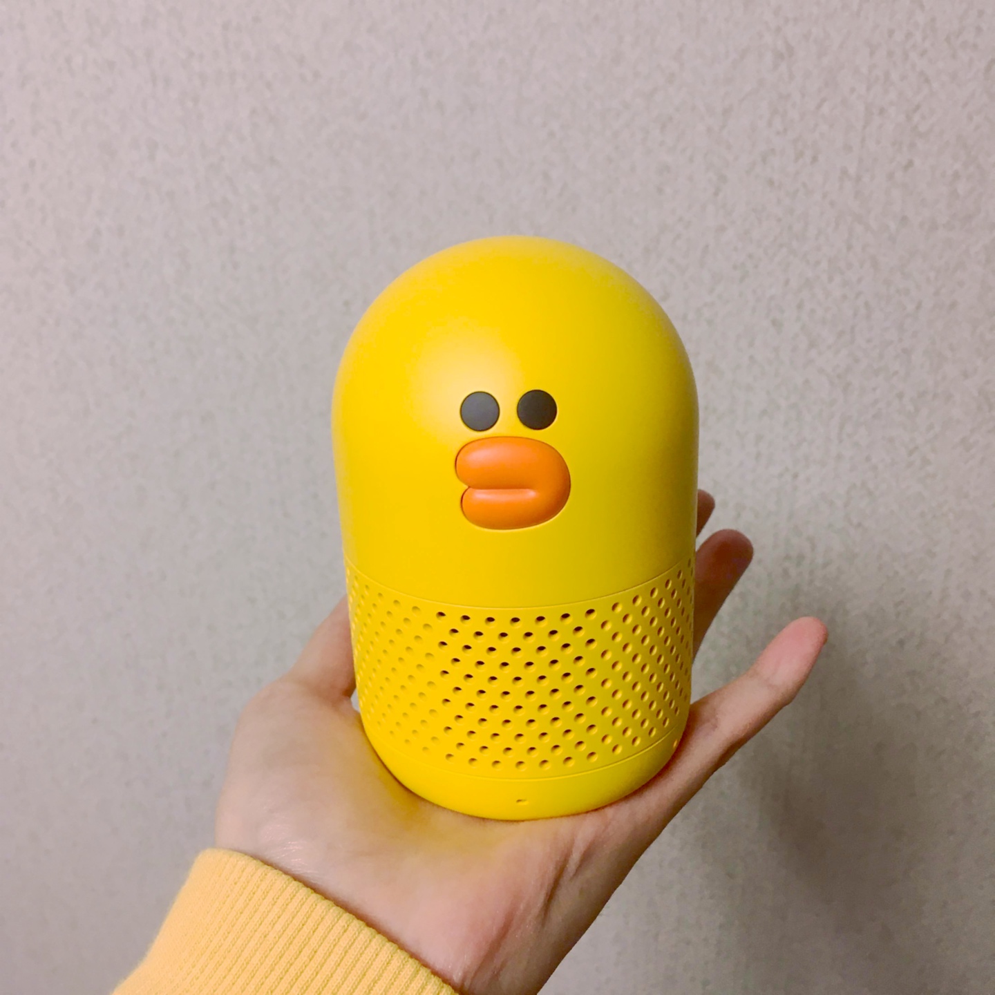 샐리 블루투스 스피커