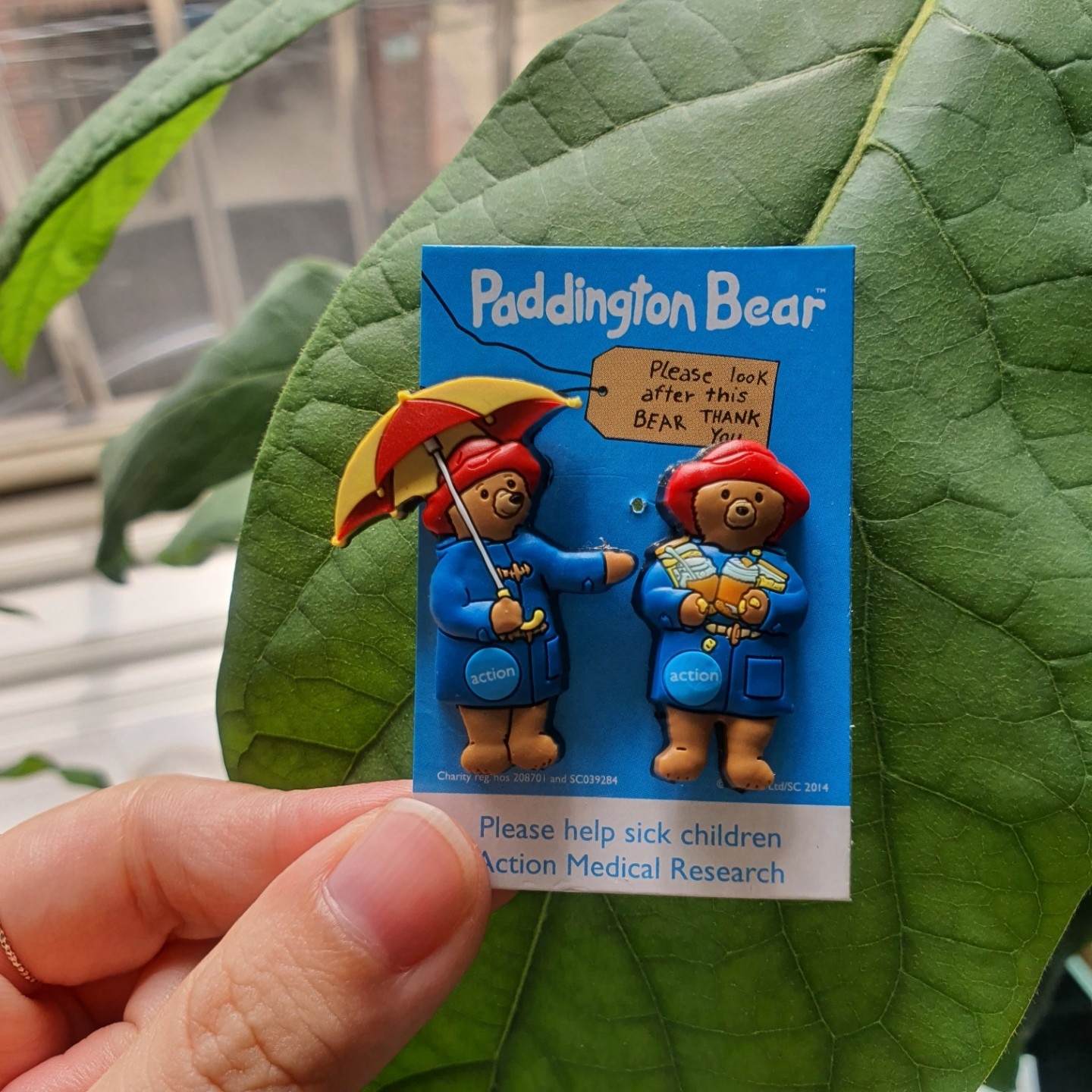 Paddington Bear🐻