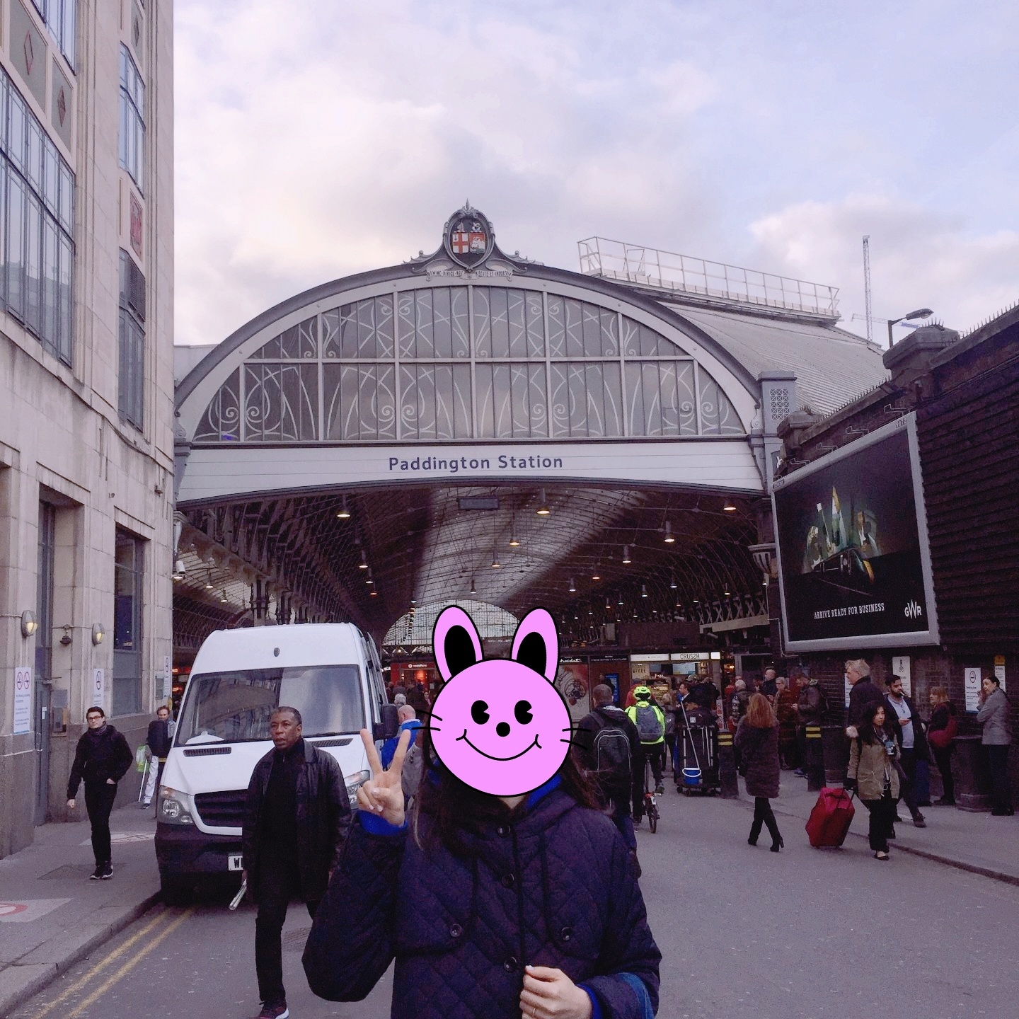 Paddington Bear🐻