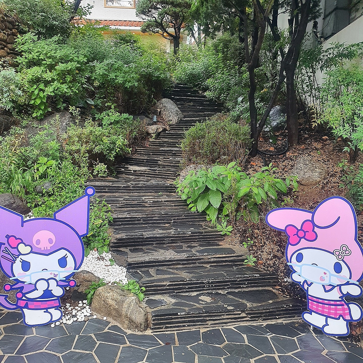 산리오 러버스클럽 9월정산💜