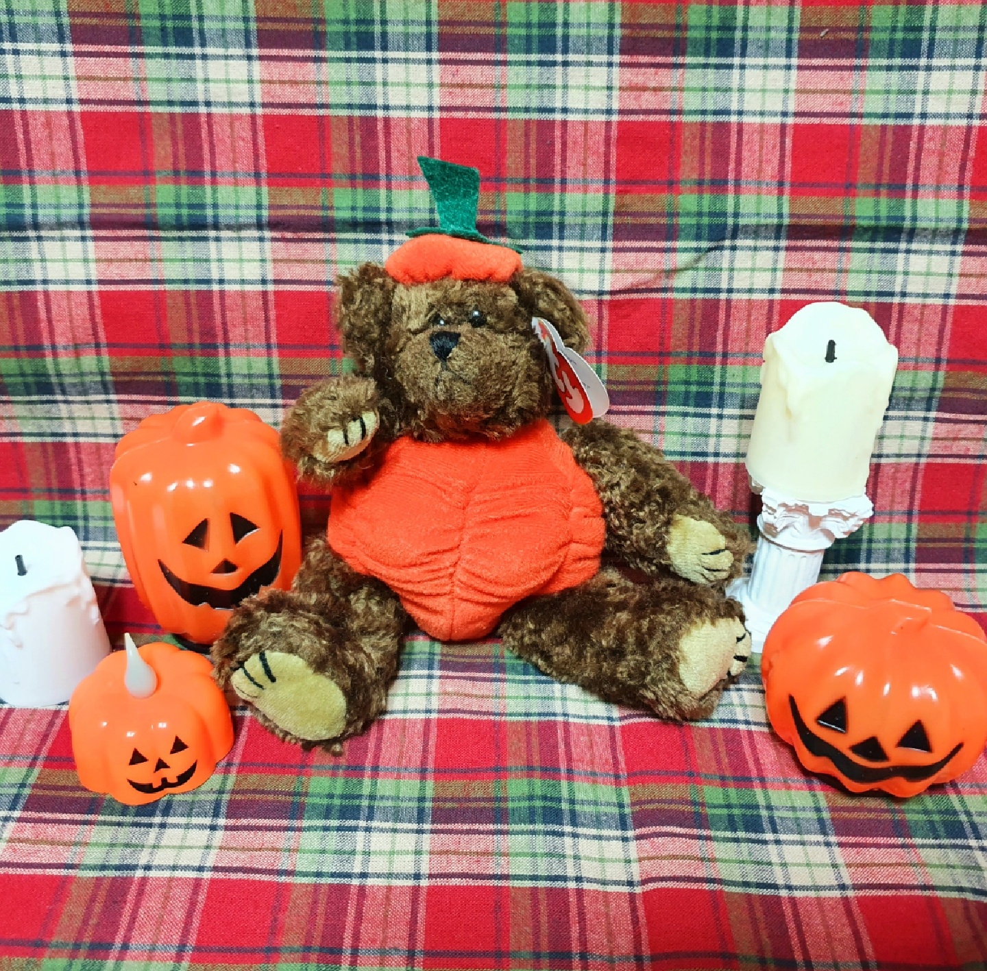 🧸ty베어 호박베어🎃