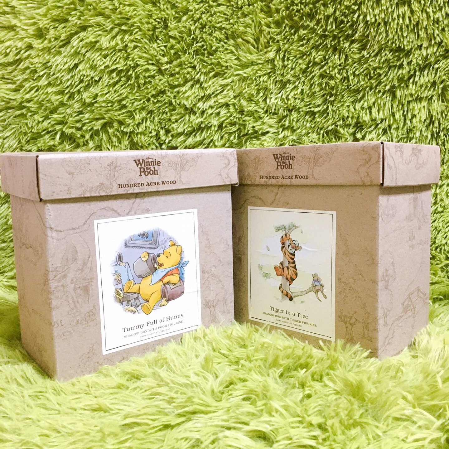 🍯먹는 푸우🧸 & 🌳타는 티거🐯