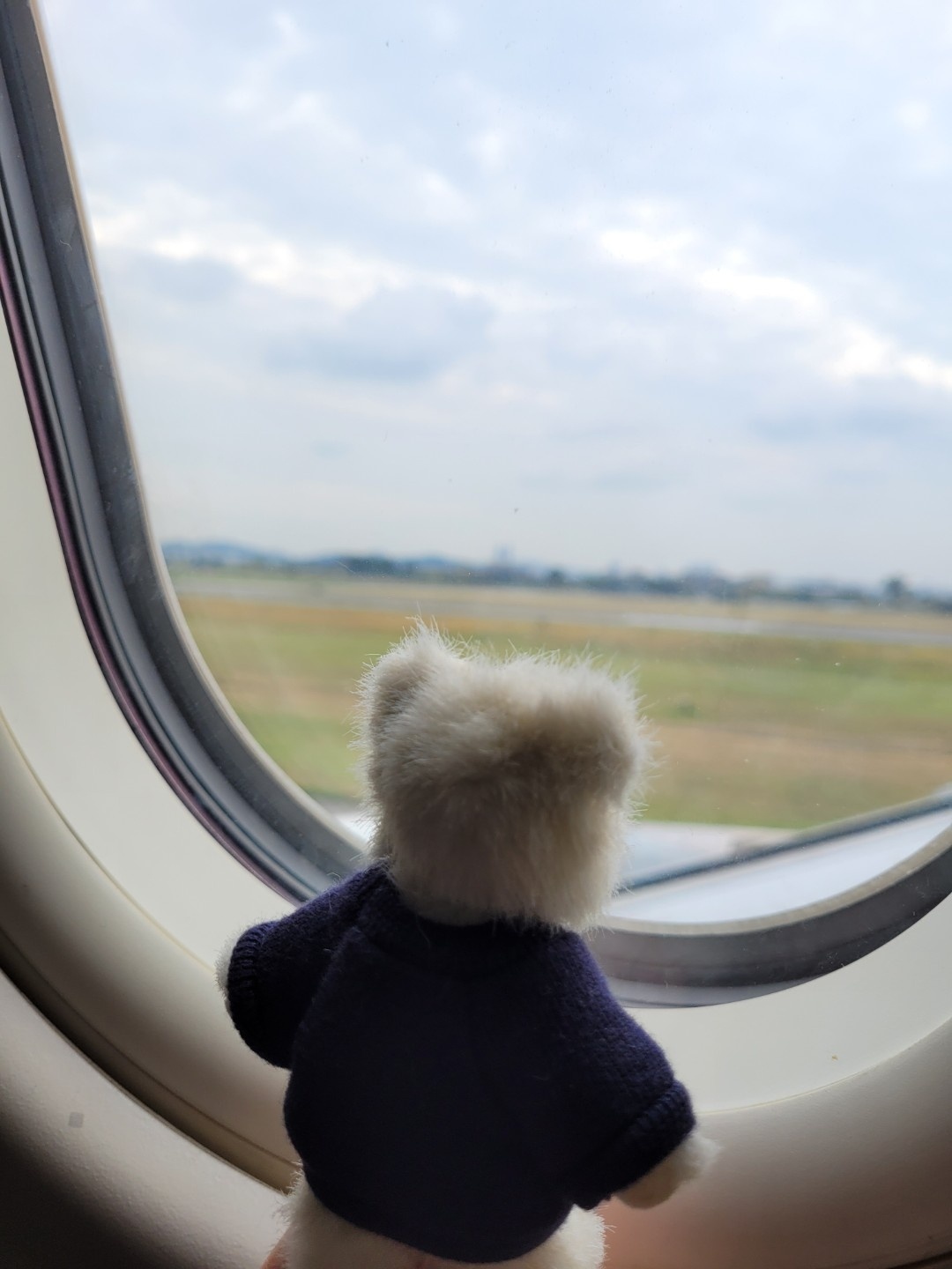 곰돌이랑 제주 여행✈