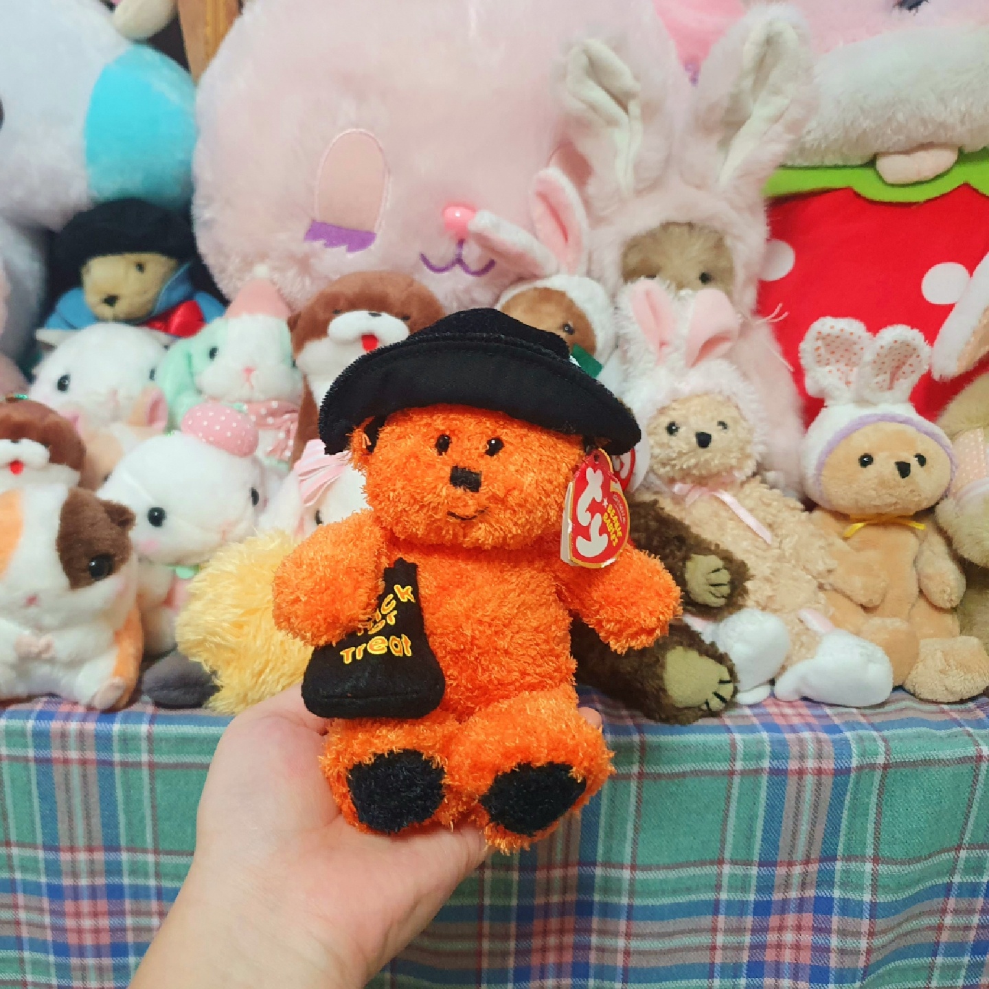 🧸Ty베어 마녀모자 베어🧙