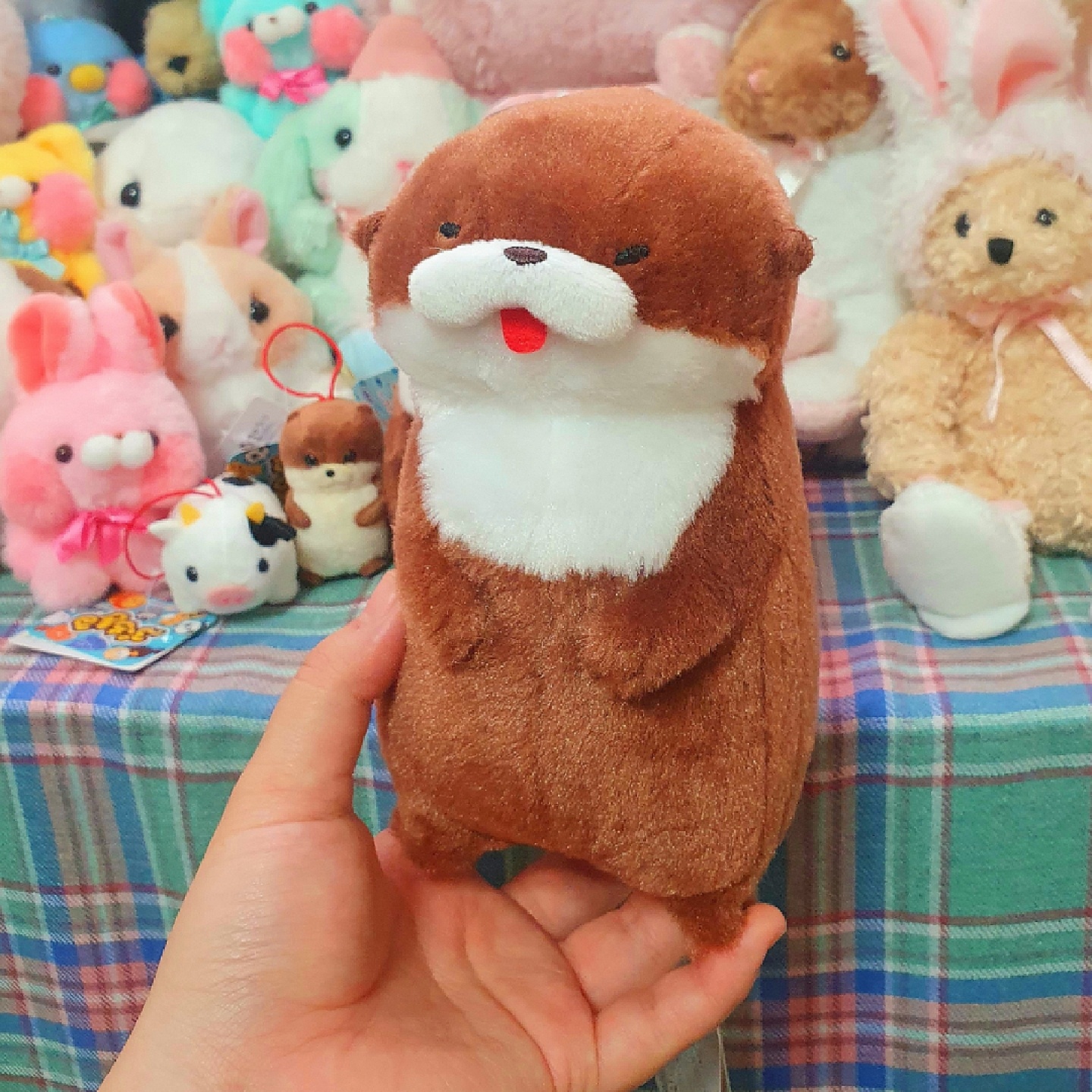어뮤즈 인형들🤎
