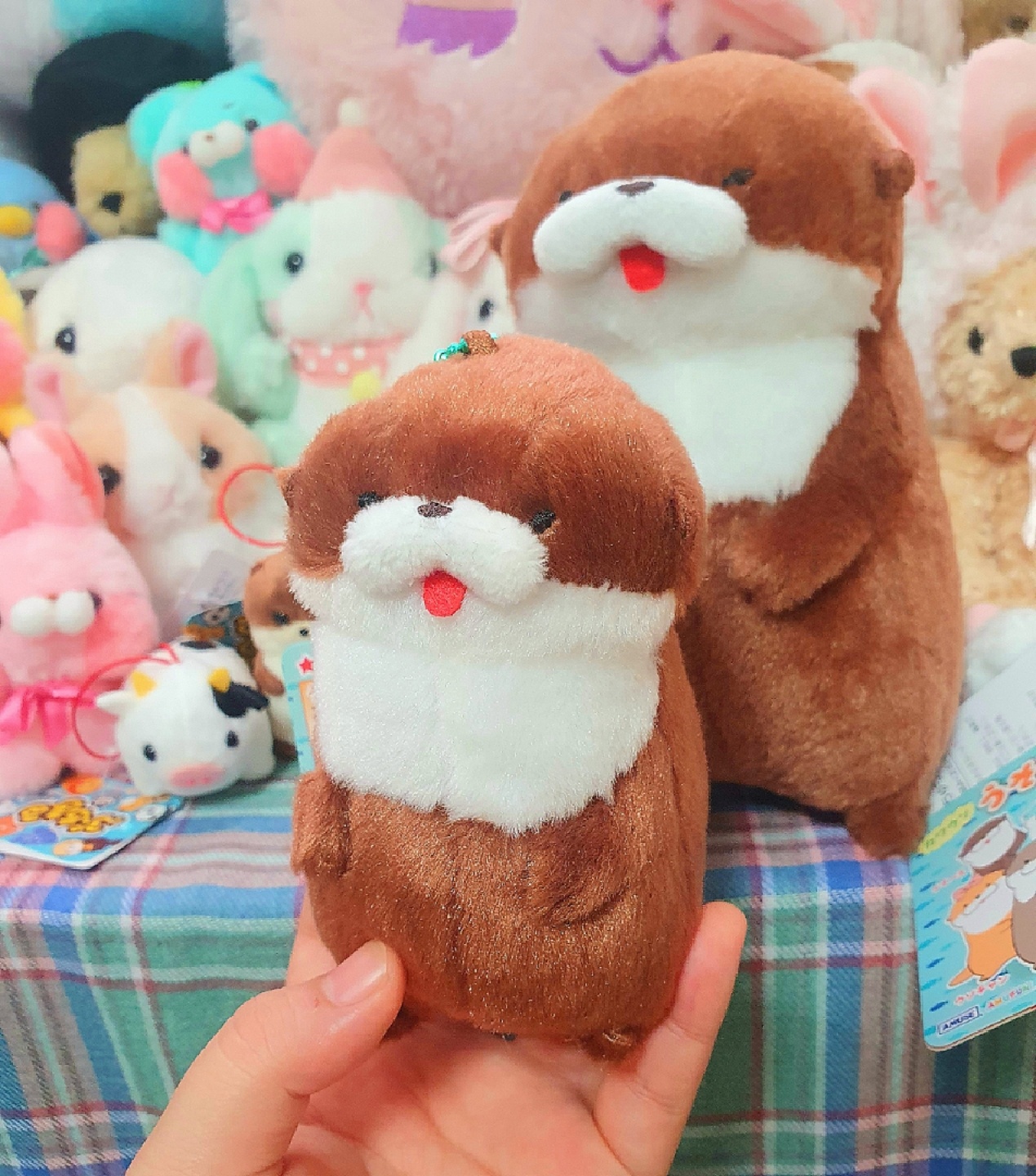 어뮤즈 인형들🤎