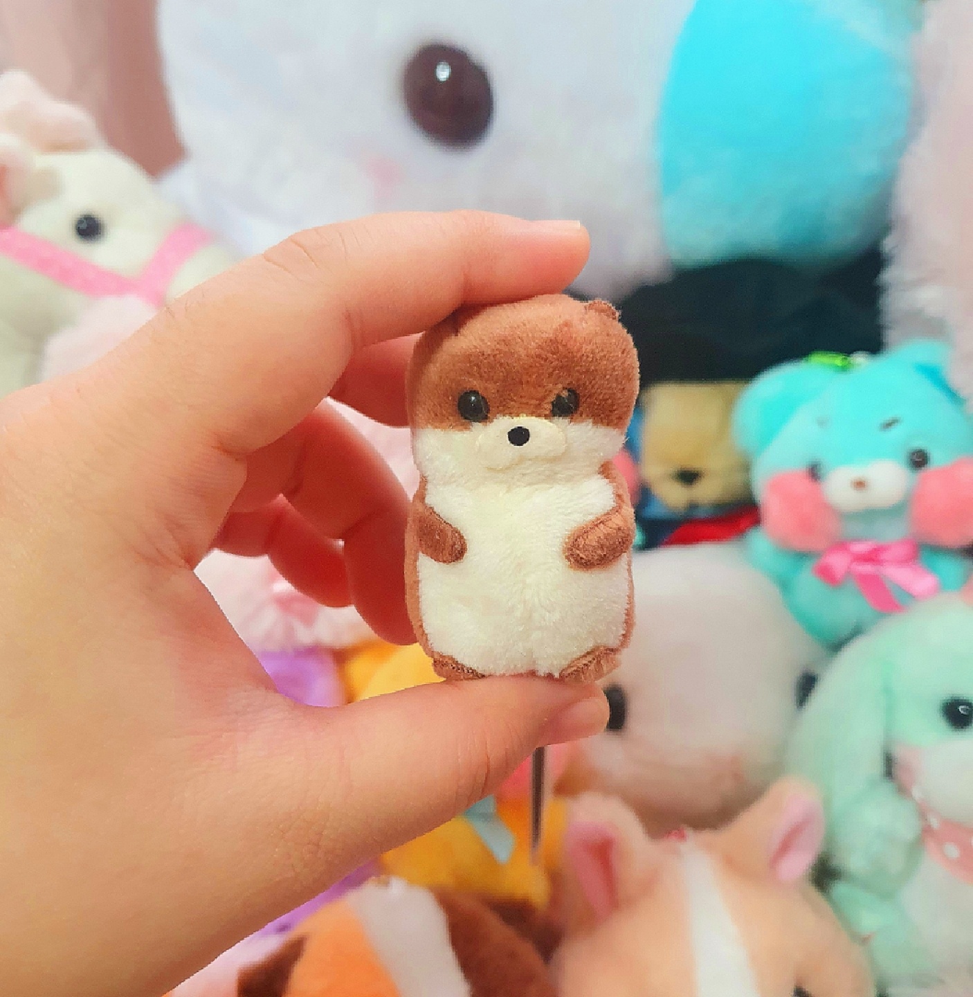 어뮤즈 인형들🤎