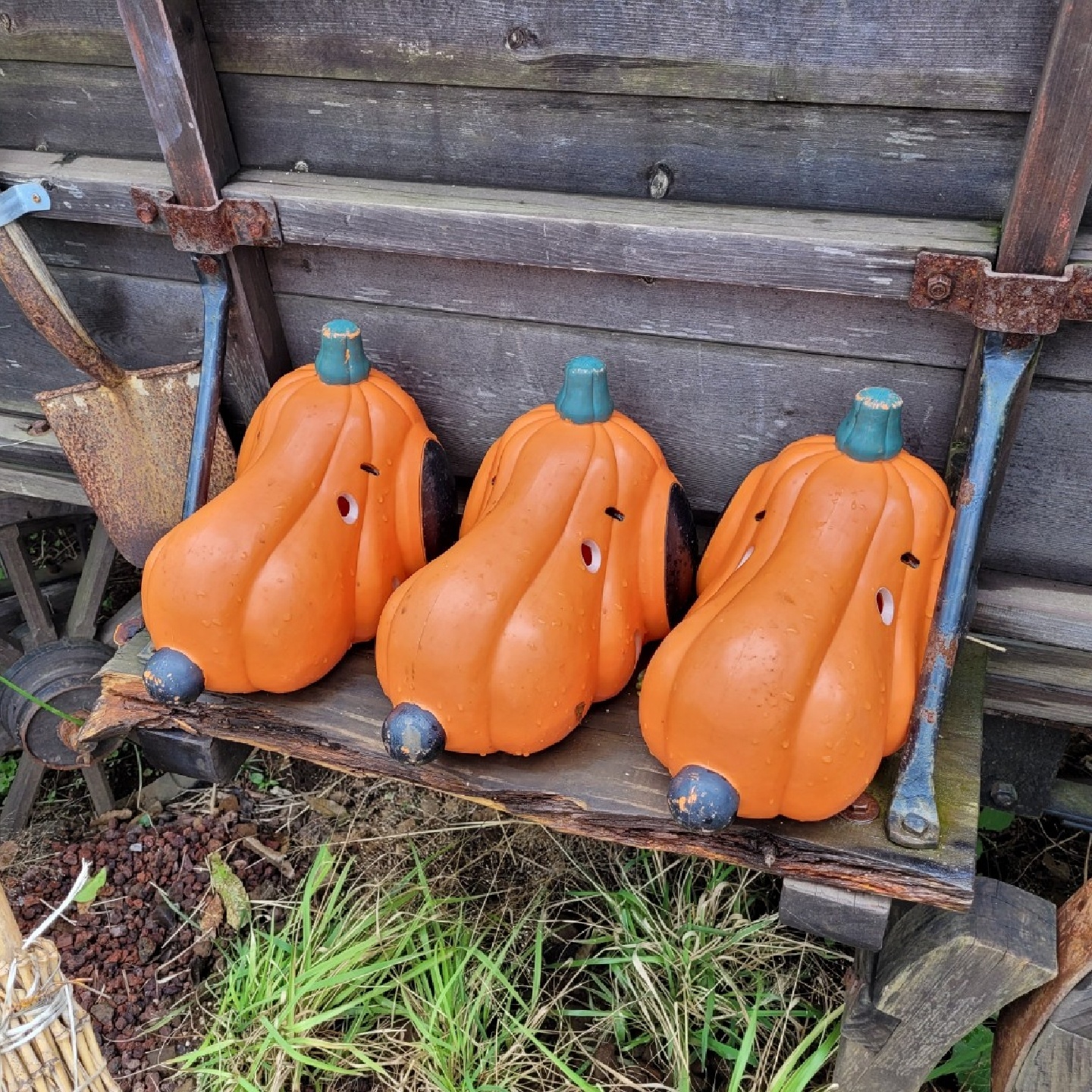 할로윈 스누피🎃