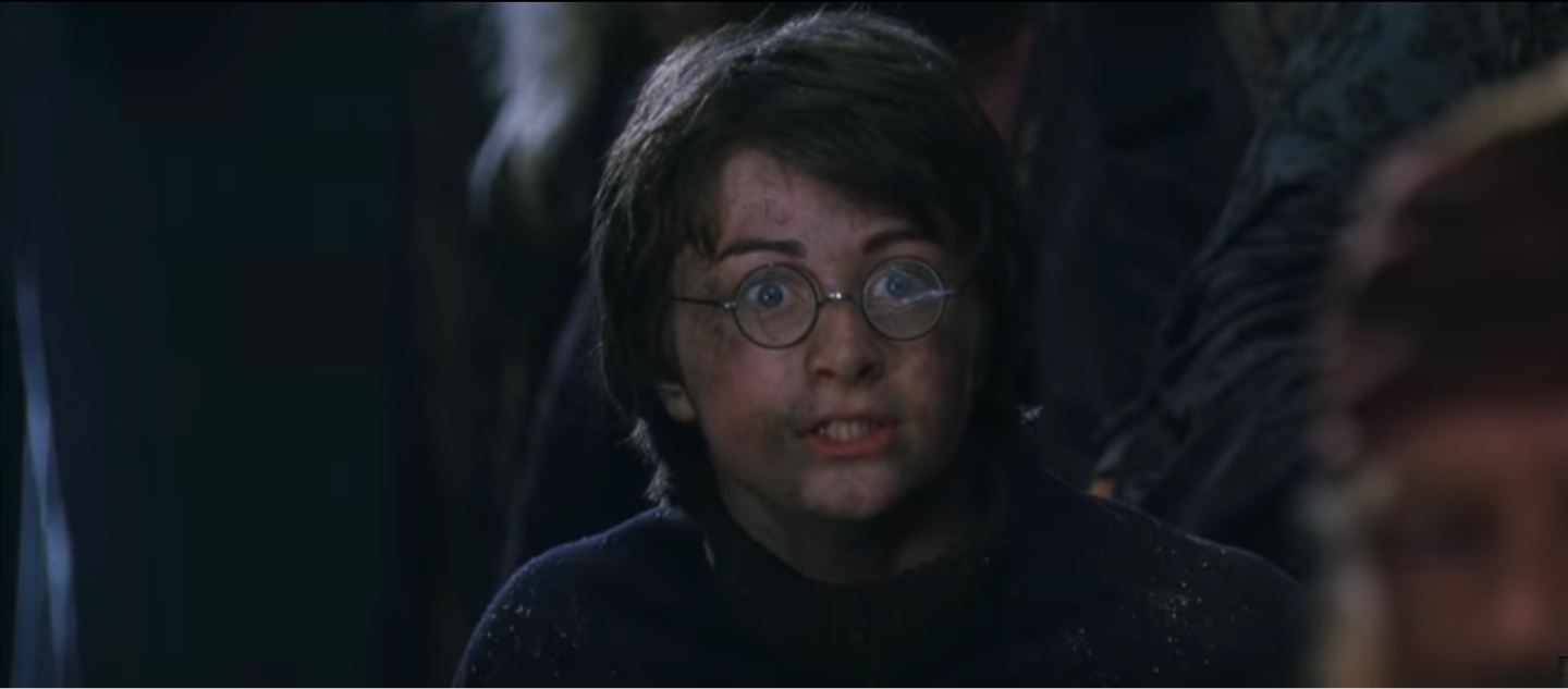HARRY POTTER