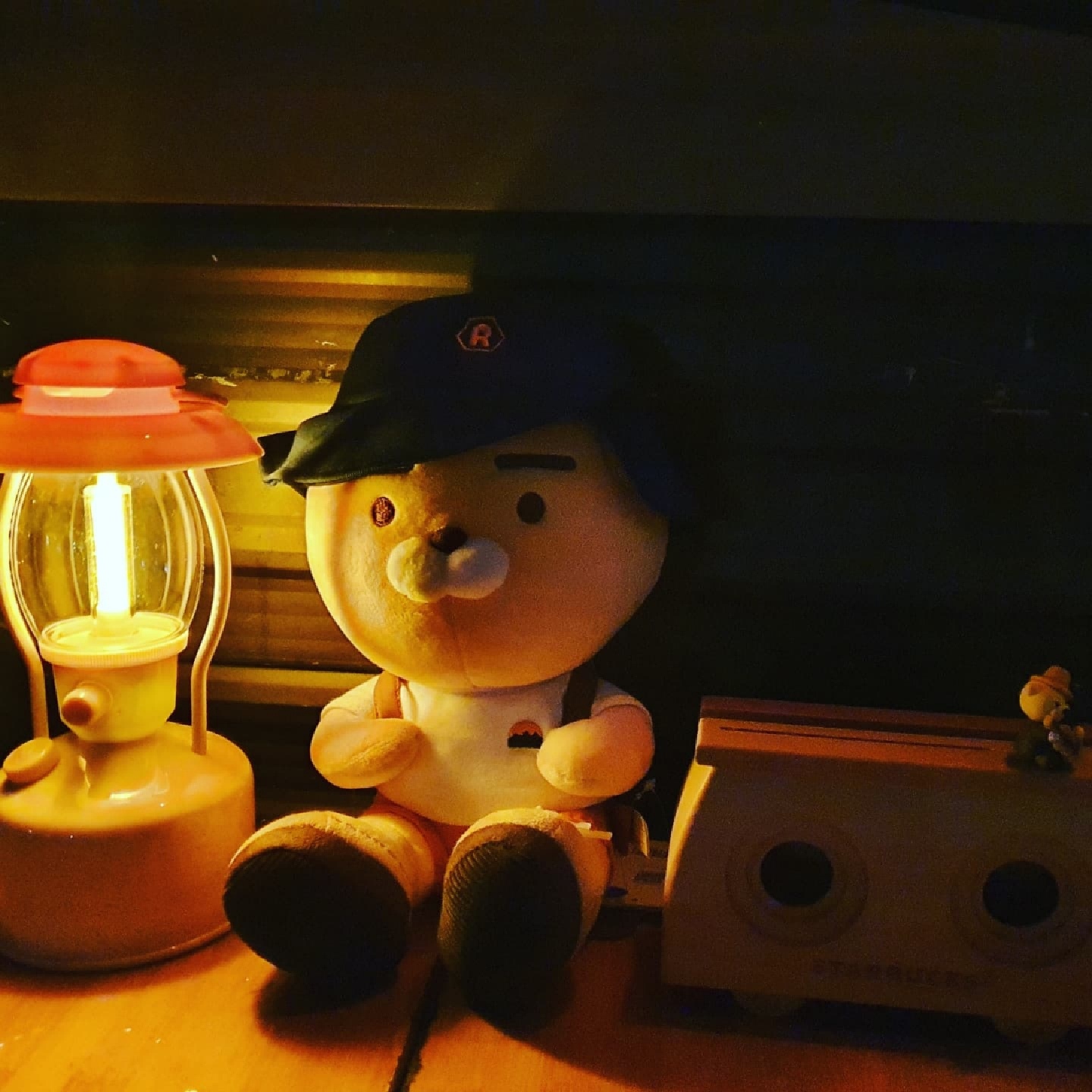 진짜 캠핑 온 캠핑 라이언 ♡