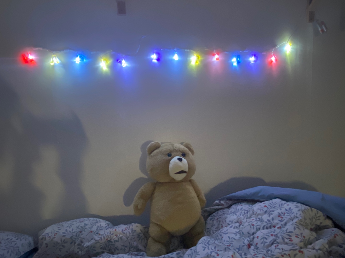 19곰 테드