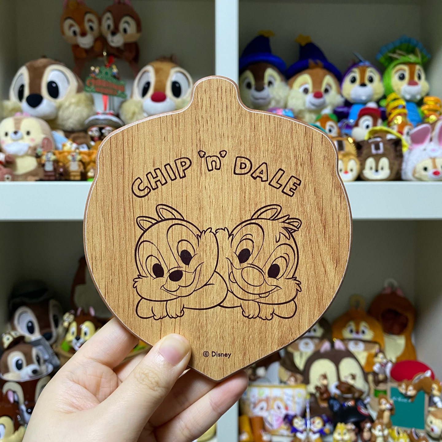 칩앤데일 우드 트레이🪵🐿