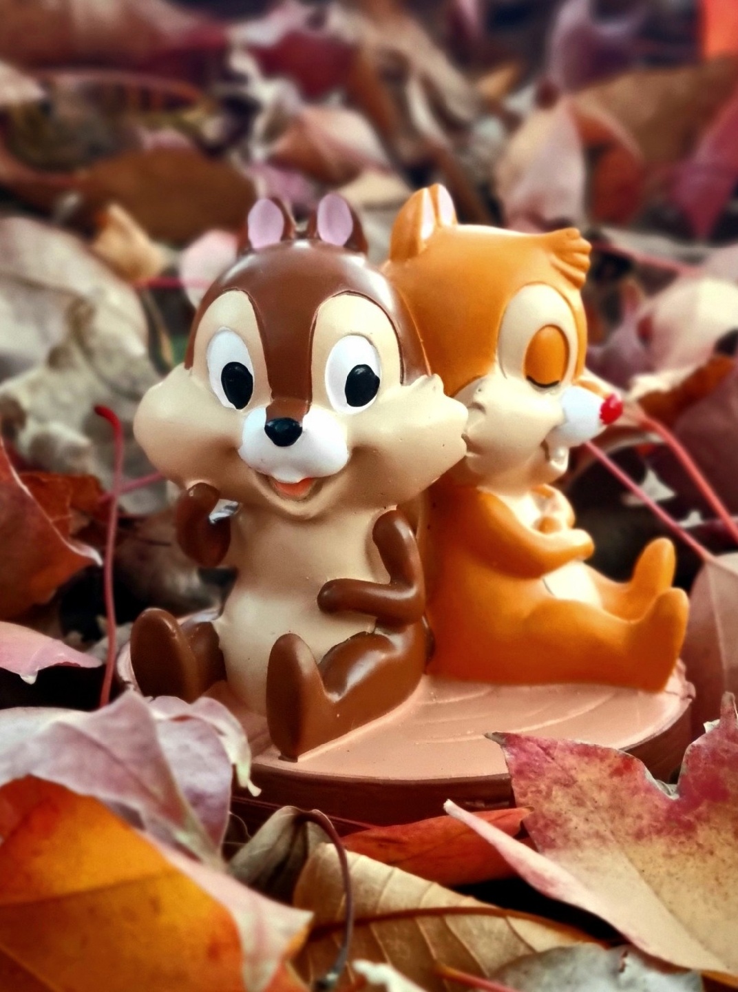 🍂다이소 칩앤데일 피규어🍂