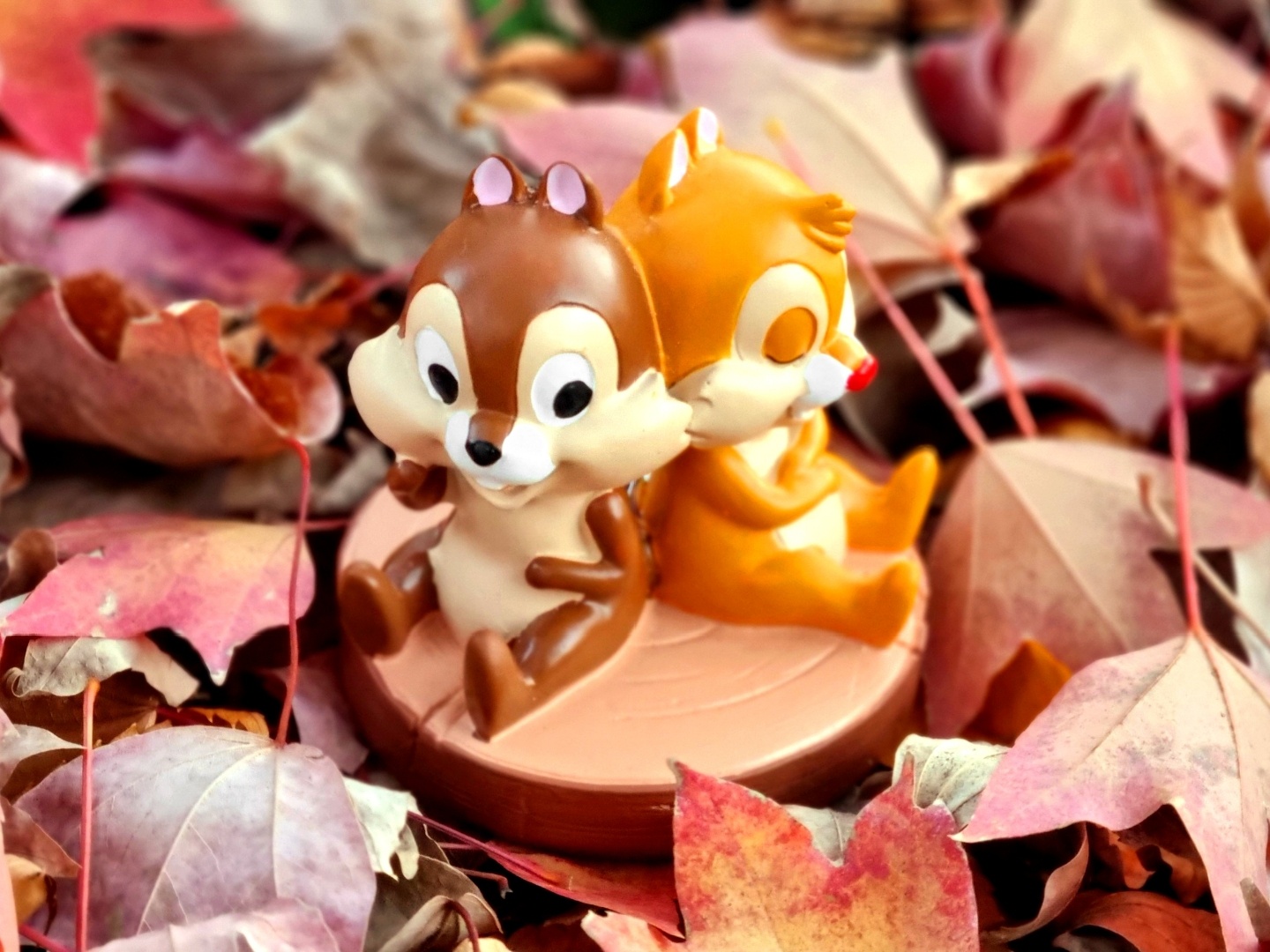 🍂다이소 칩앤데일 피규어🍂