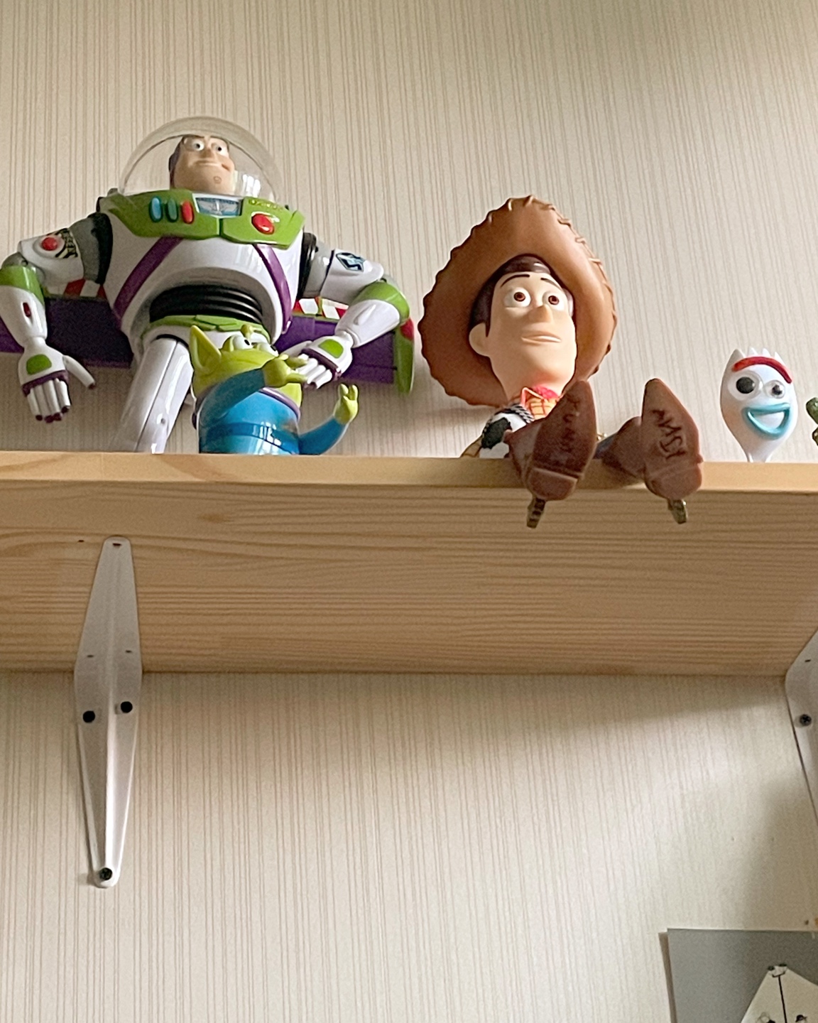 오랜만에 콜리