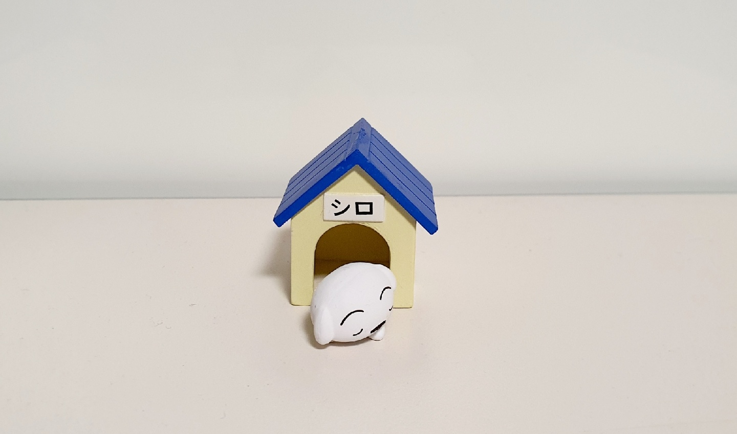 낮잠자는 흰둥이&흰둥이집🏠