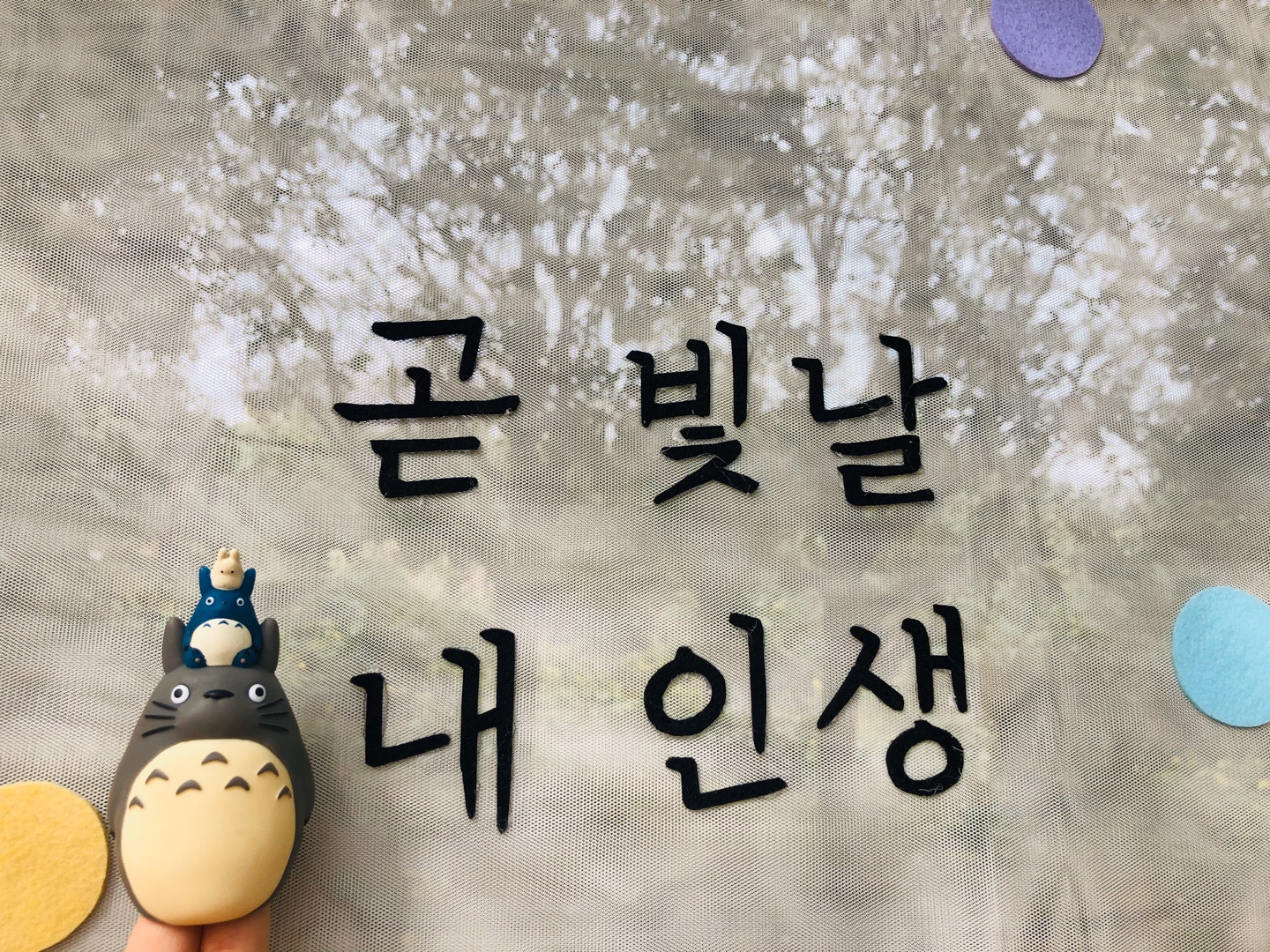 토토로와제즈더🌴