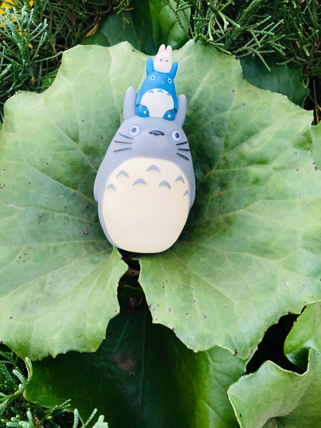 토토로와제즈더🌴