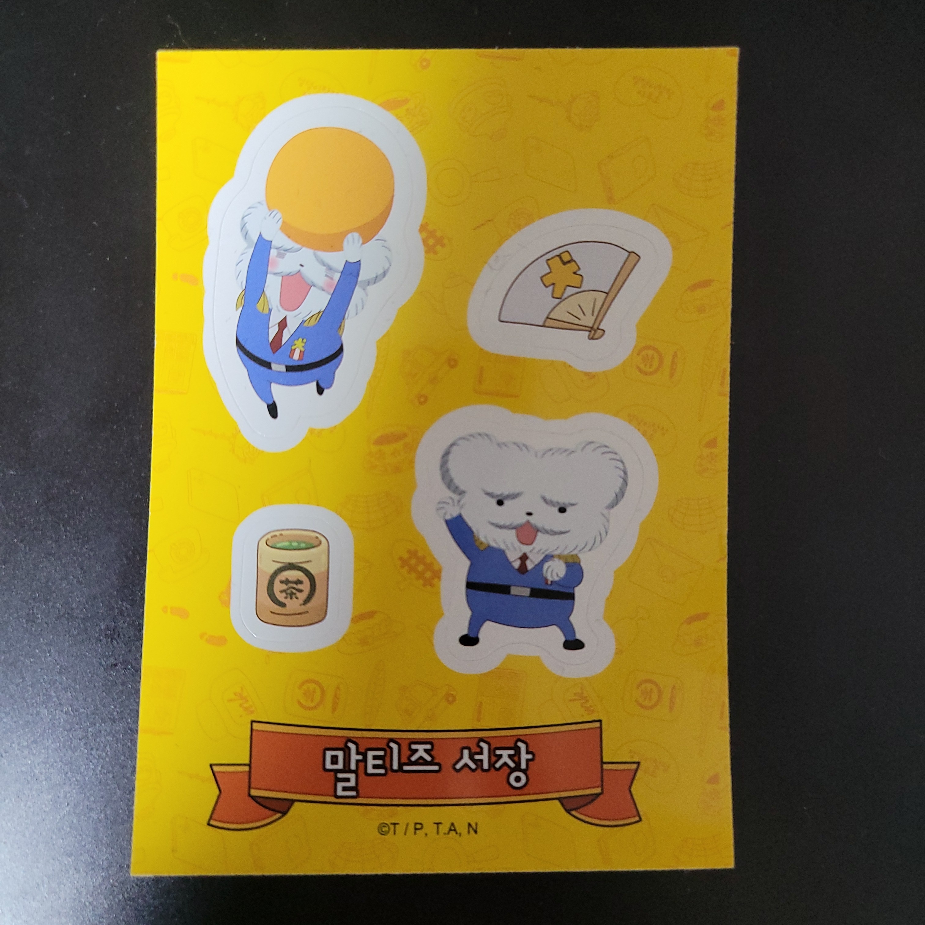 말티즈서장