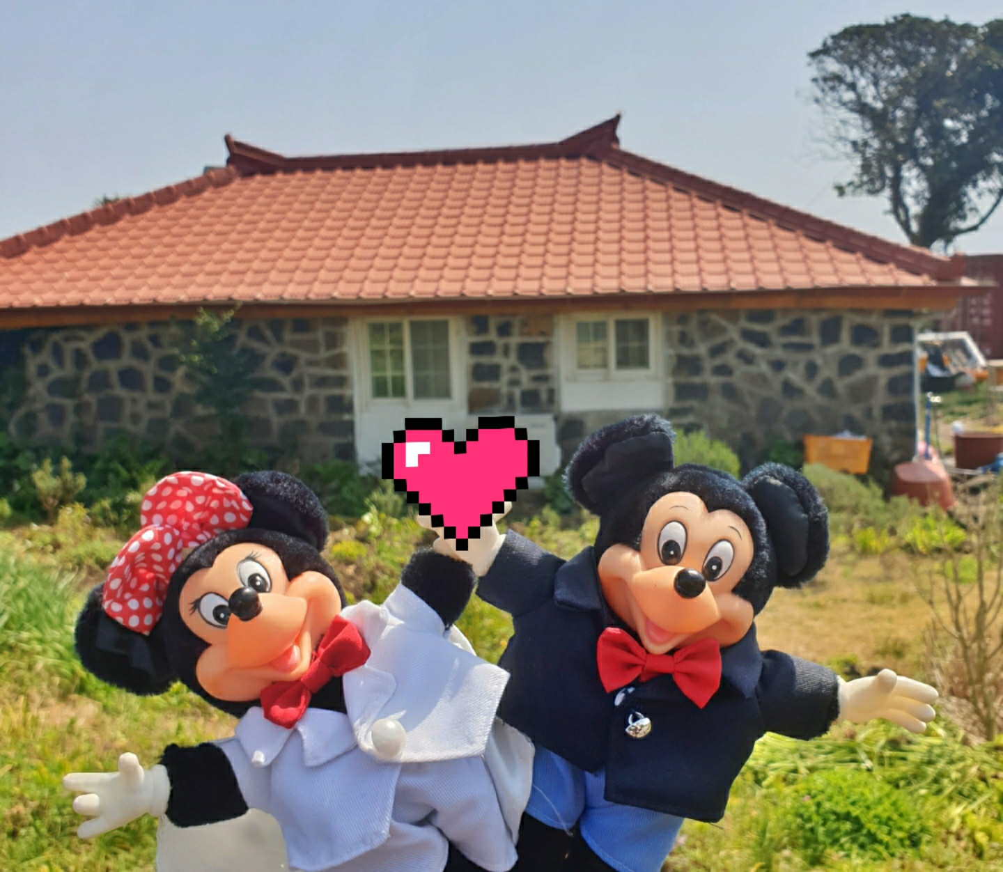 MICKEY & MINNIE
